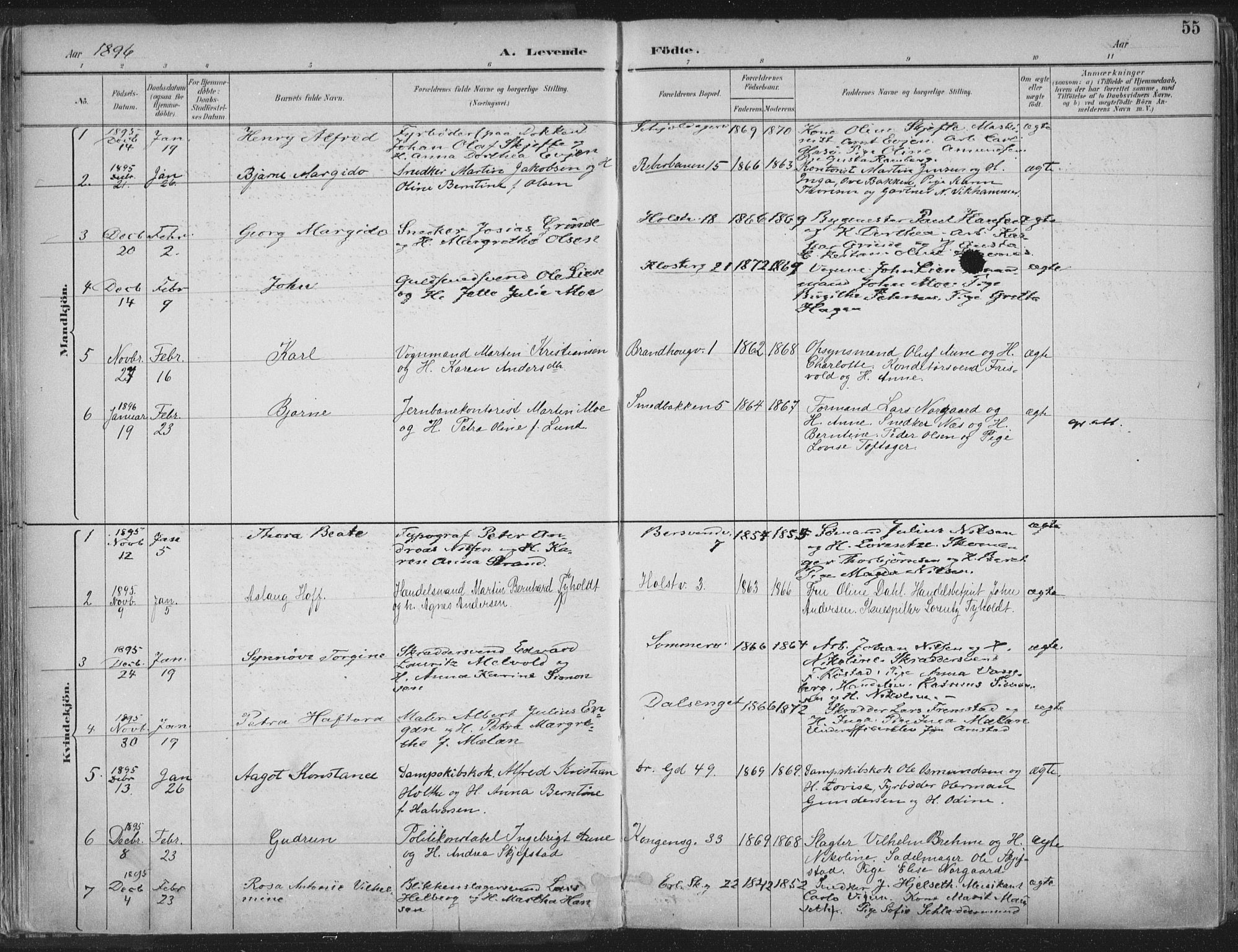 Ministerialprotokoller, klokkerbøker og fødselsregistre - Sør-Trøndelag, SAT/A-1456/601/L0062: Ministerialbok nr. 601A30, 1891-1911, s. 55
