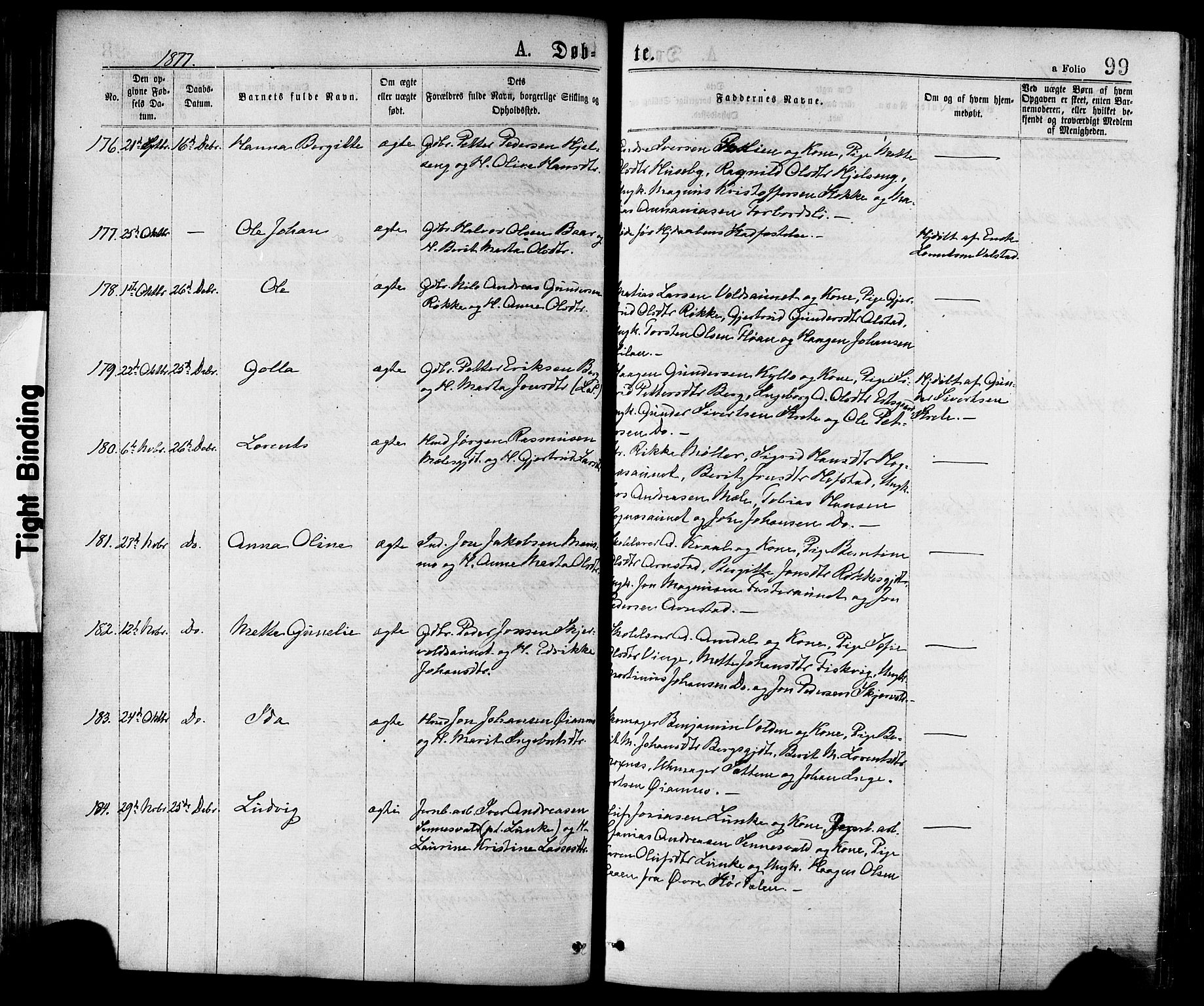 Ministerialprotokoller, klokkerbøker og fødselsregistre - Nord-Trøndelag, SAT/A-1458/709/L0076: Ministerialbok nr. 709A16, 1871-1879, s. 99