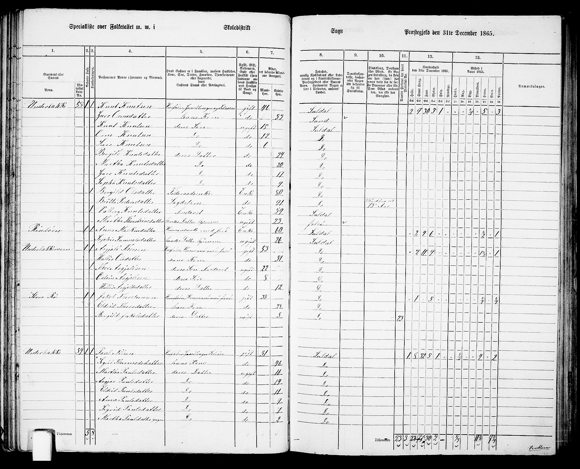 RA, Folketelling 1865 for 1134P Suldal prestegjeld, 1865, s. 46