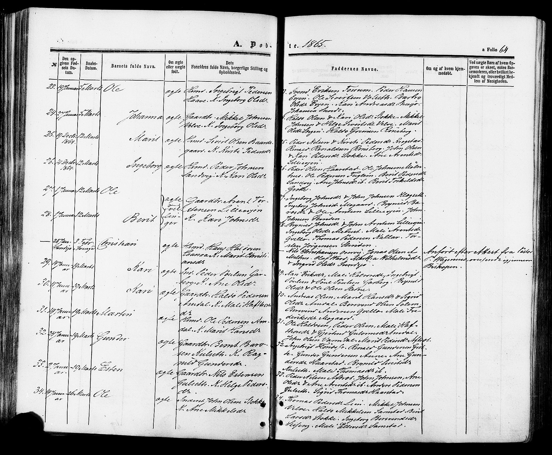 Ministerialprotokoller, klokkerbøker og fødselsregistre - Sør-Trøndelag, AV/SAT-A-1456/695/L1147: Ministerialbok nr. 695A07, 1860-1877, s. 64