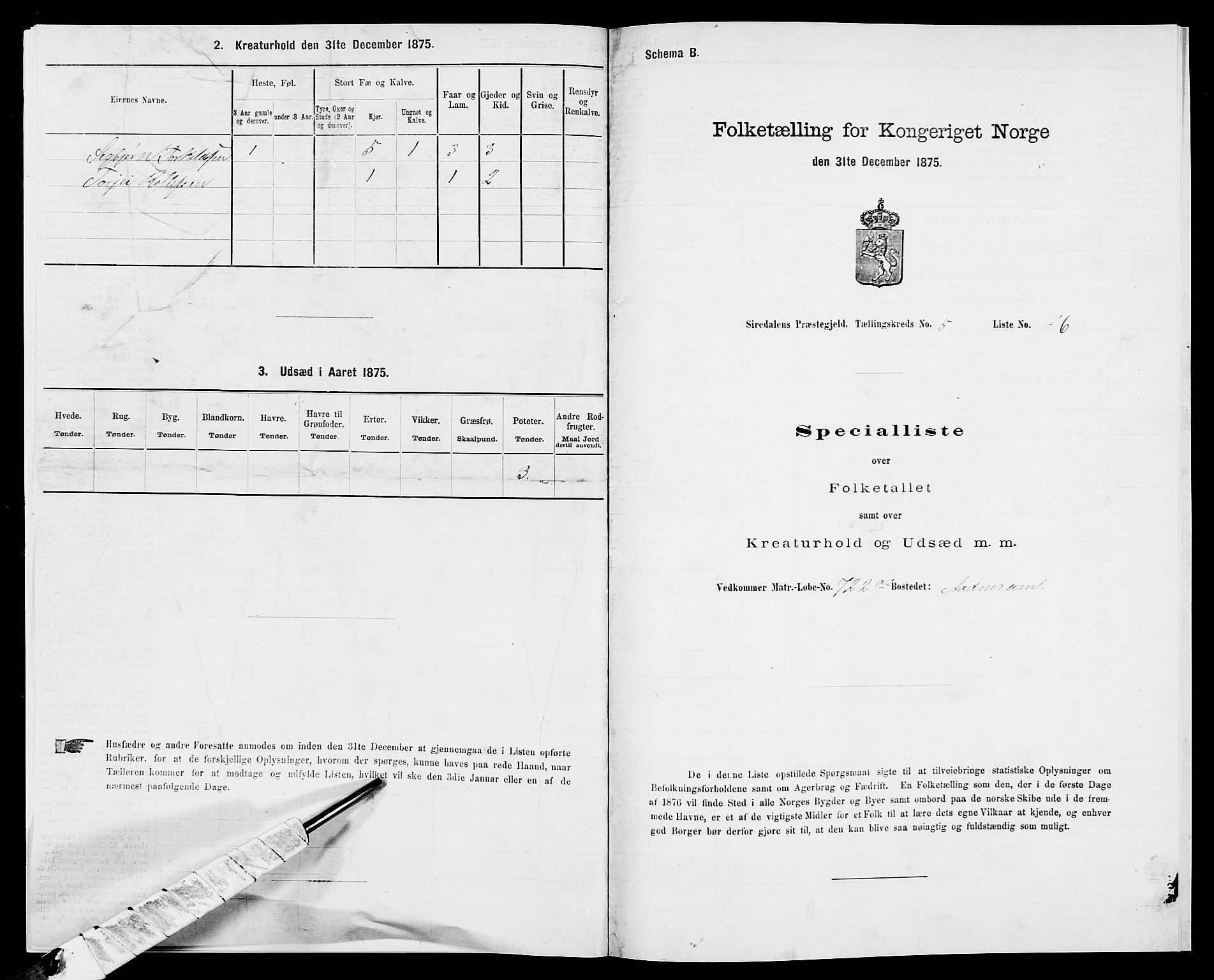 SAK, Folketelling 1875 for 1046P Sirdal prestegjeld, 1875, s. 417