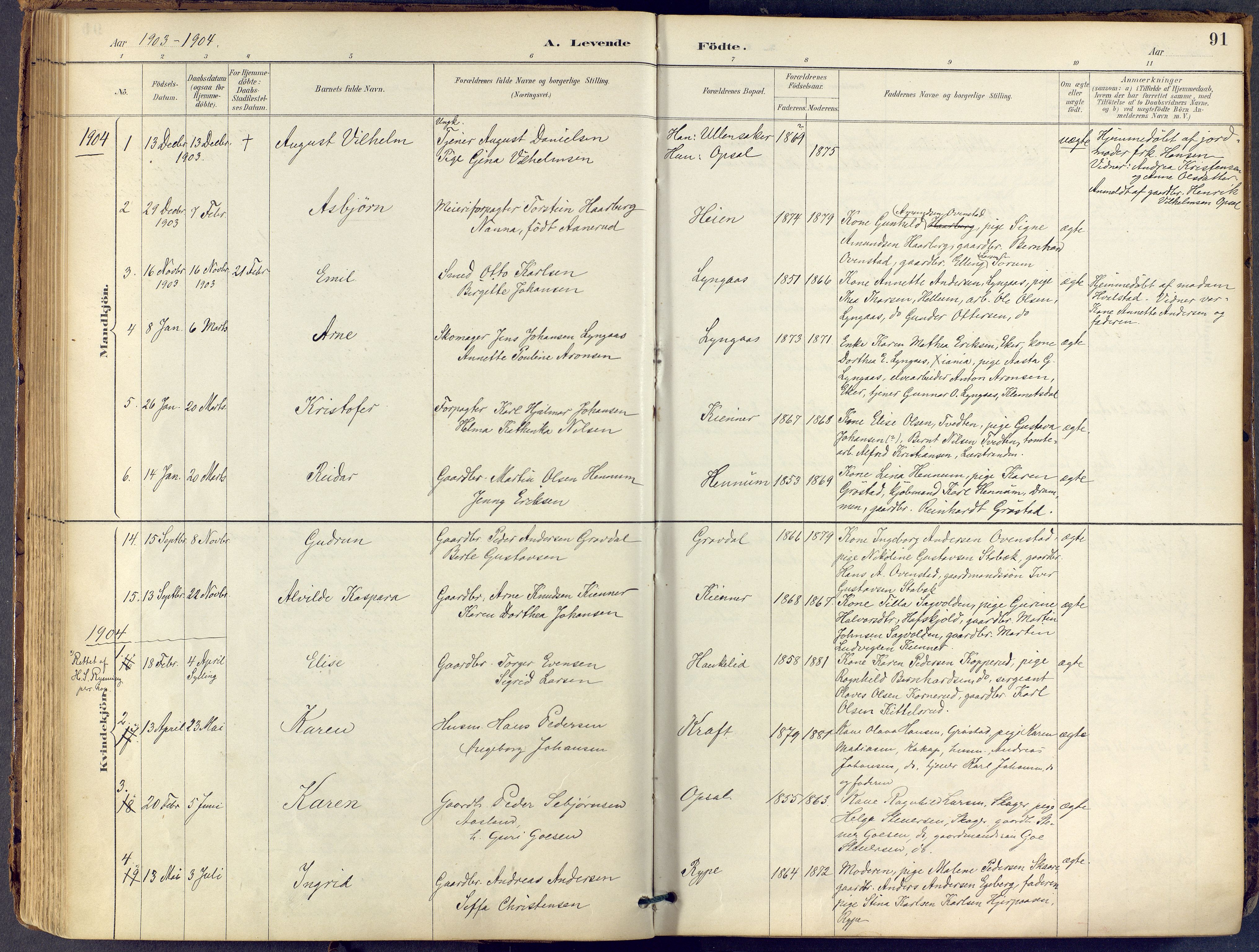 Lier kirkebøker, AV/SAKO-A-230/F/Fb/L0001: Ministerialbok nr. II 1, 1883-1910, s. 91