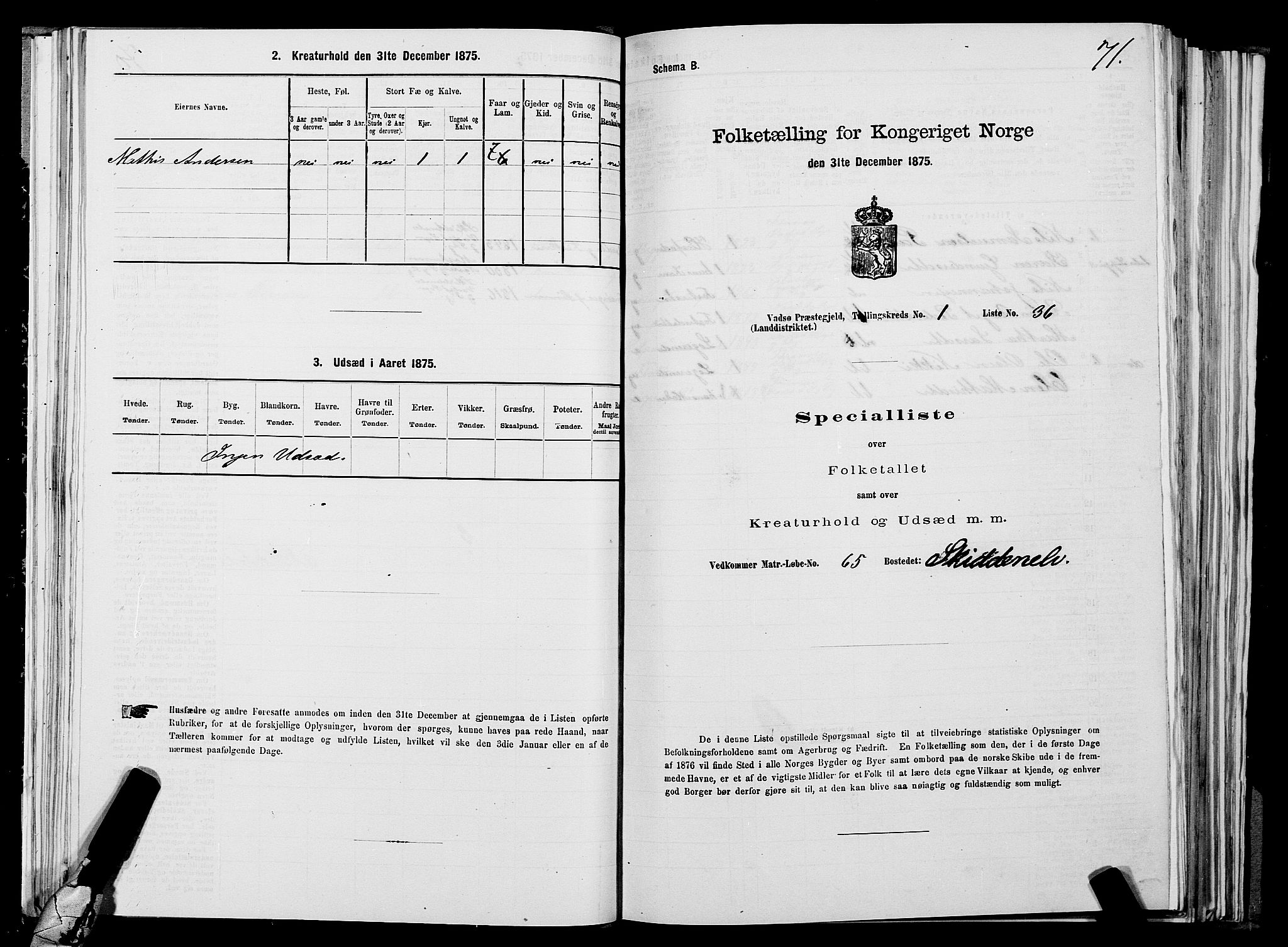 SATØ, Folketelling 1875 for 2029L Vadsø prestegjeld, Vadsø landsokn, 1875, s. 1071