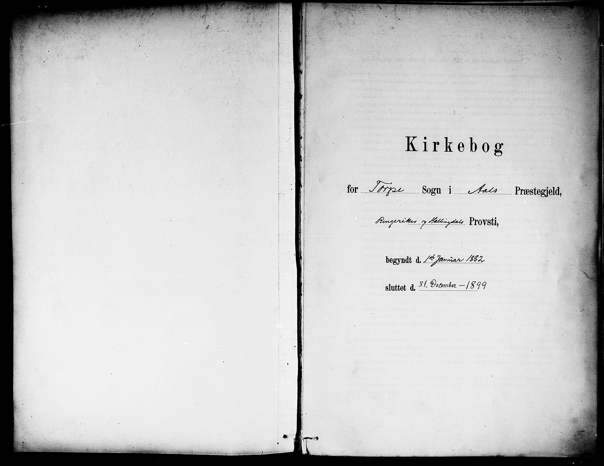 Ål kirkebøker, AV/SAKO-A-249/F/Fb/L0001: Ministerialbok nr. II 1, 1882-1899