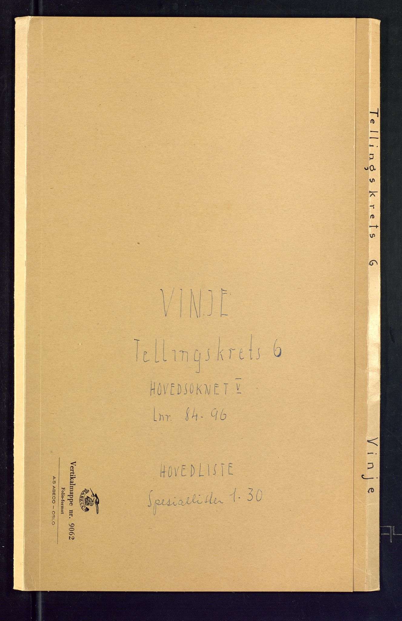 SAKO, Folketelling 1875 for 0834P Vinje prestegjeld, 1875, s. 21