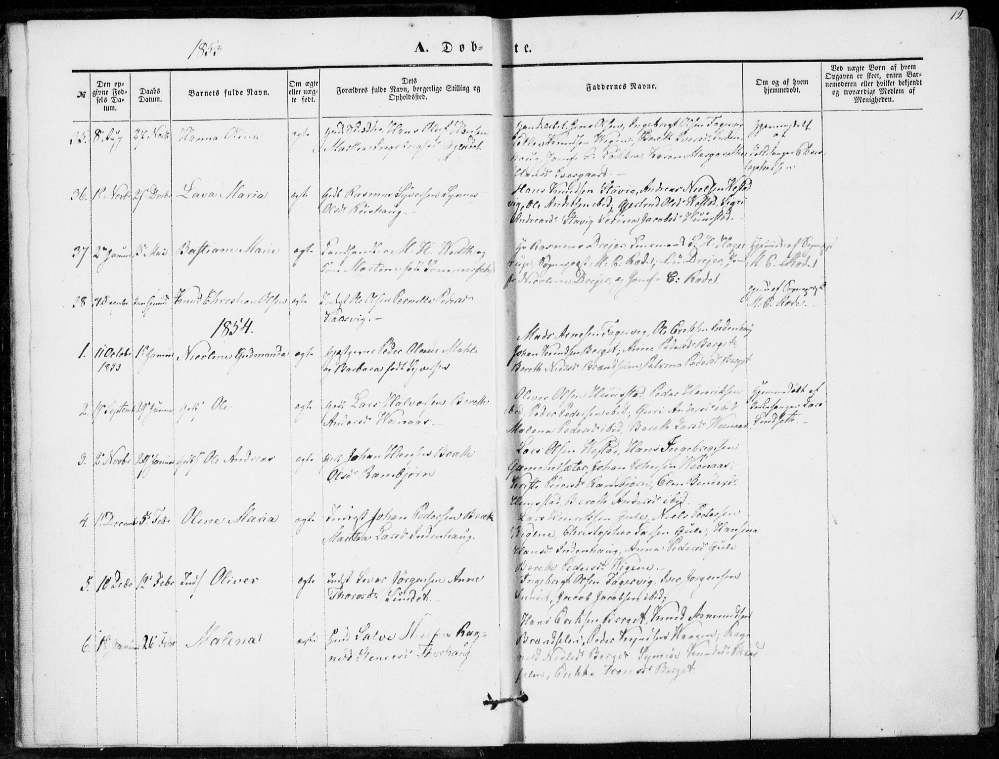 Ministerialprotokoller, klokkerbøker og fødselsregistre - Møre og Romsdal, AV/SAT-A-1454/566/L0767: Ministerialbok nr. 566A06, 1852-1868, s. 12
