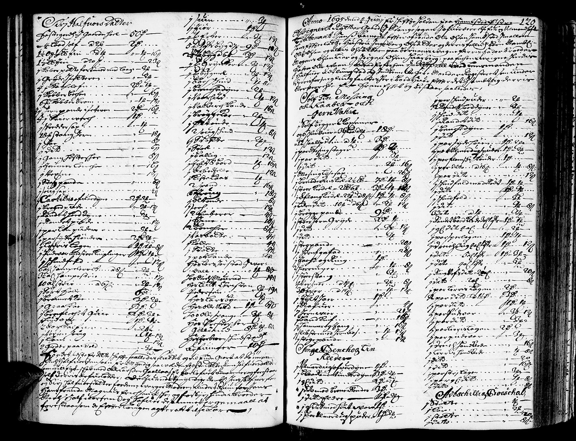 Hedemarken sorenskriveri, SAH/TING-034/J/Ja/L0002: Skifteprotokoll, 1693-1698, s. 119b-120a