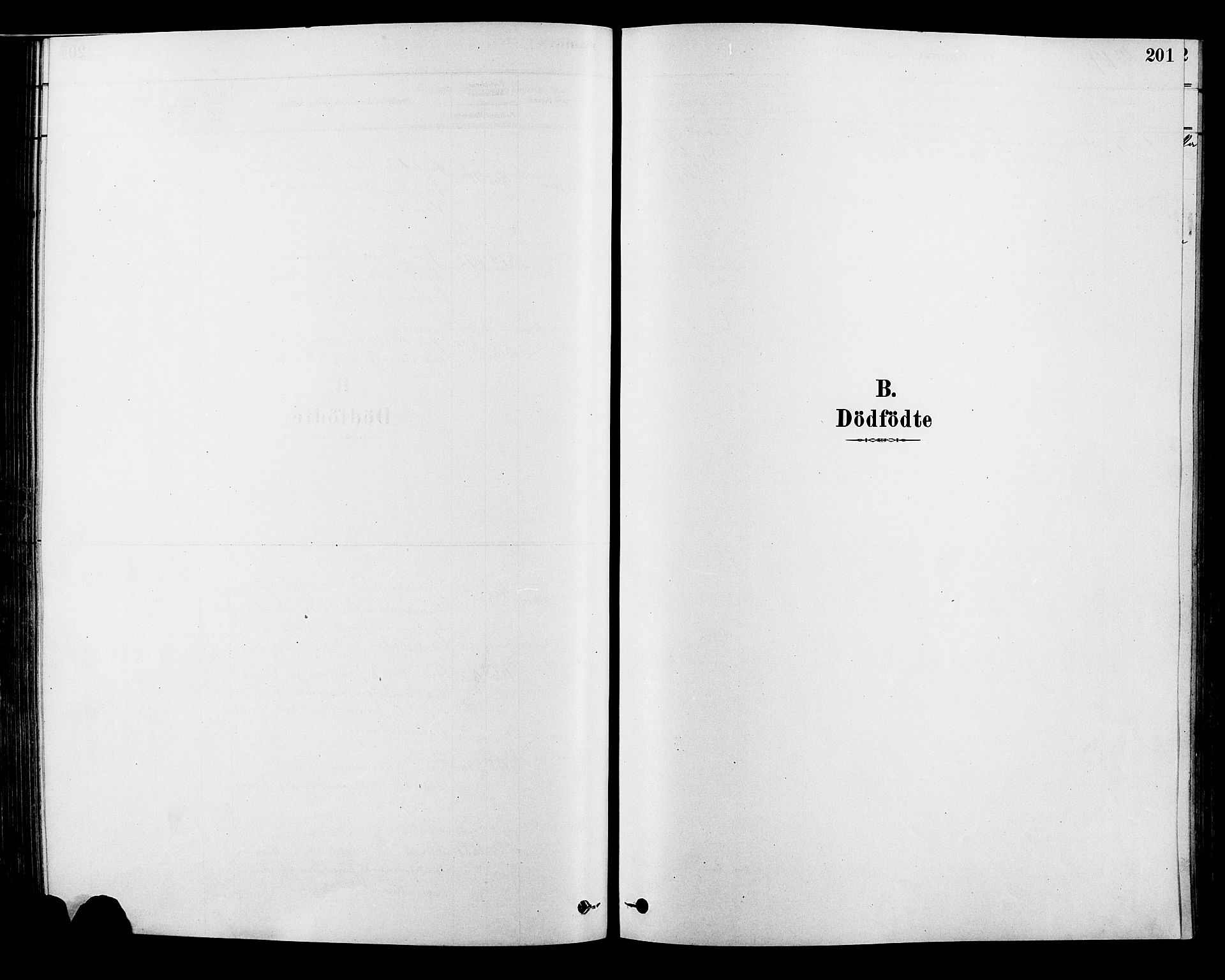 Alvdal prestekontor, SAH/PREST-060/H/Ha/Hab/L0003: Klokkerbok nr. 3, 1878-1907, s. 201