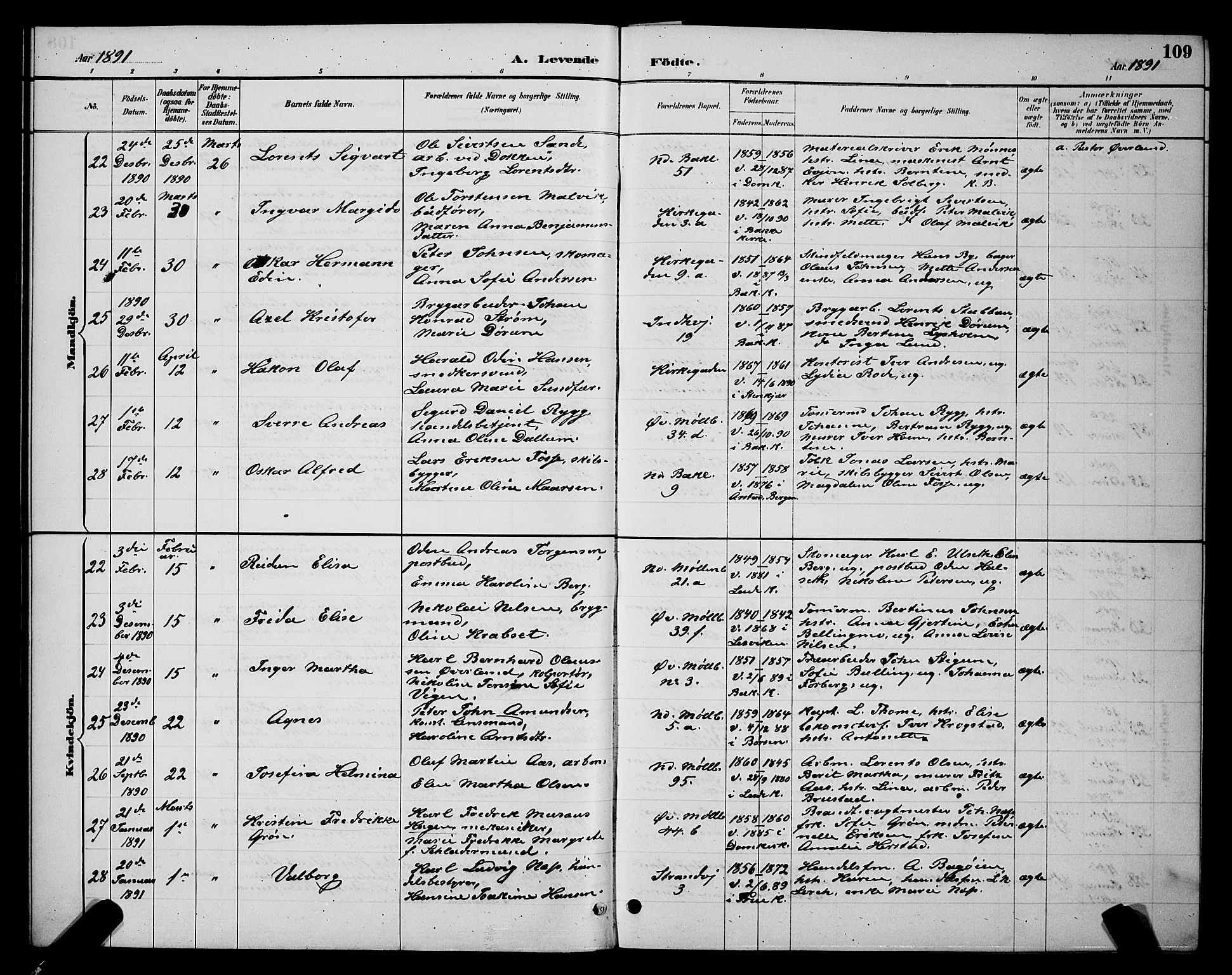 Ministerialprotokoller, klokkerbøker og fødselsregistre - Sør-Trøndelag, SAT/A-1456/604/L0222: Klokkerbok nr. 604C05, 1886-1895, s. 109