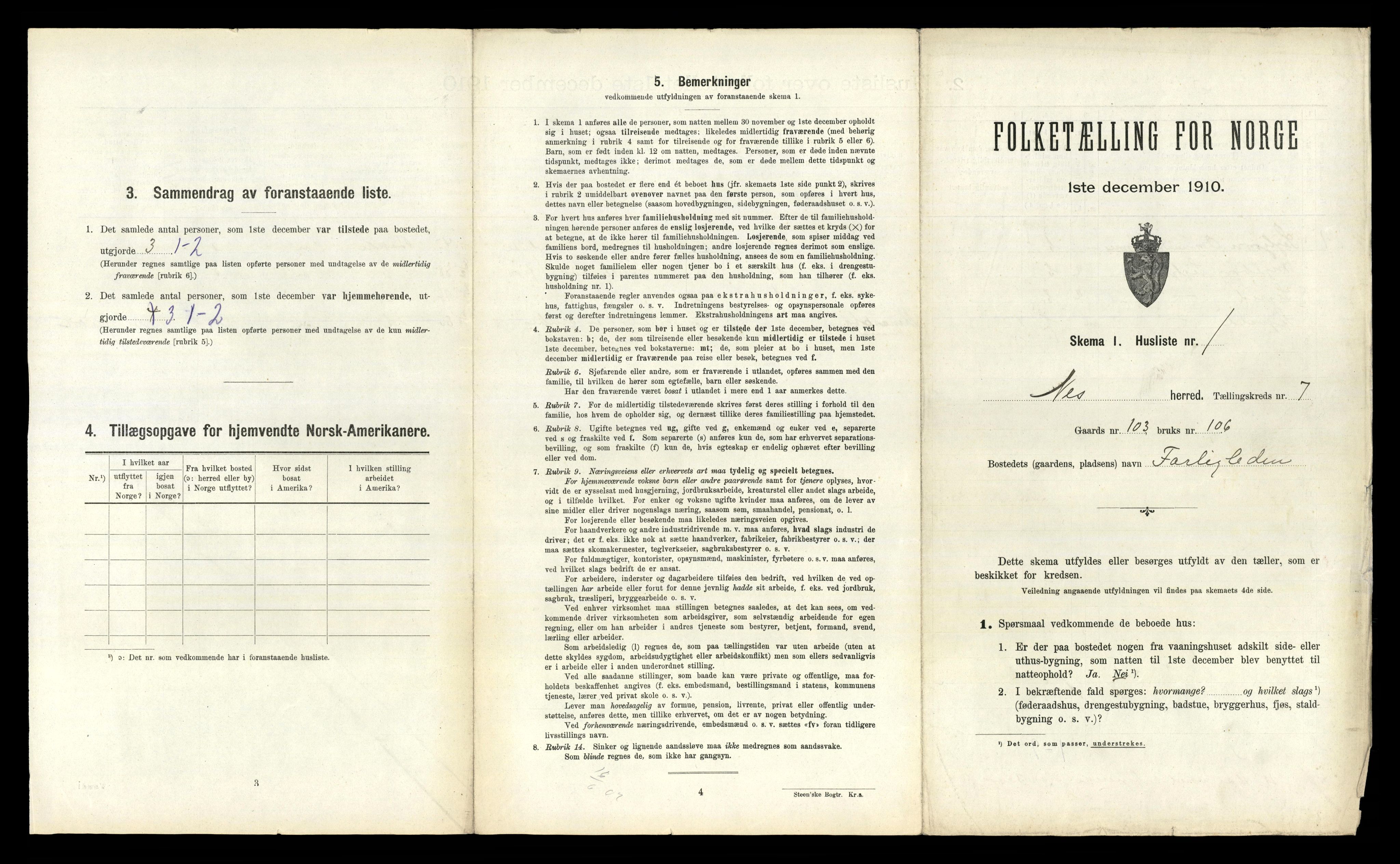 RA, Folketelling 1910 for 1043 Nes herred, 1910, s. 491