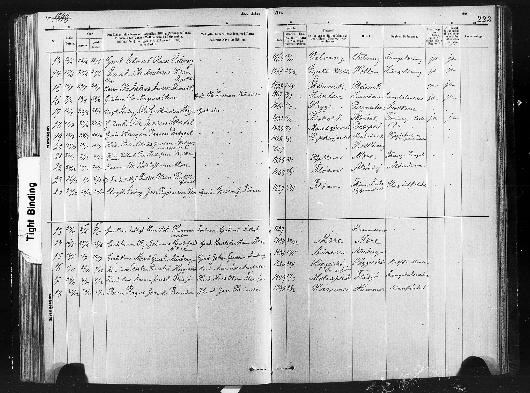 Ministerialprotokoller, klokkerbøker og fødselsregistre - Nord-Trøndelag, AV/SAT-A-1458/712/L0103: Klokkerbok nr. 712C01, 1878-1917, s. 223