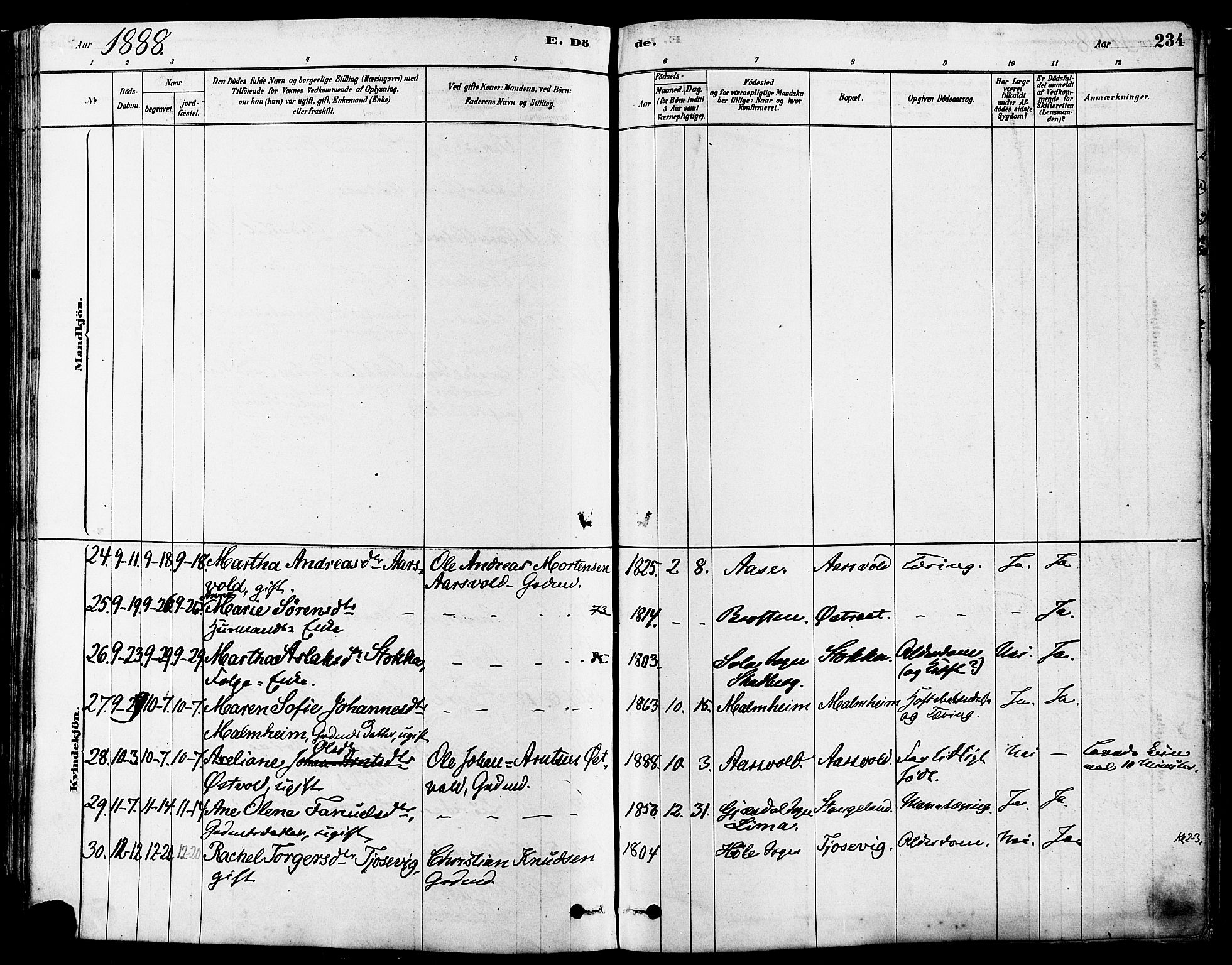 Høyland sokneprestkontor, AV/SAST-A-101799/001/30BA/L0011: Ministerialbok nr. A 10, 1878-1888, s. 234