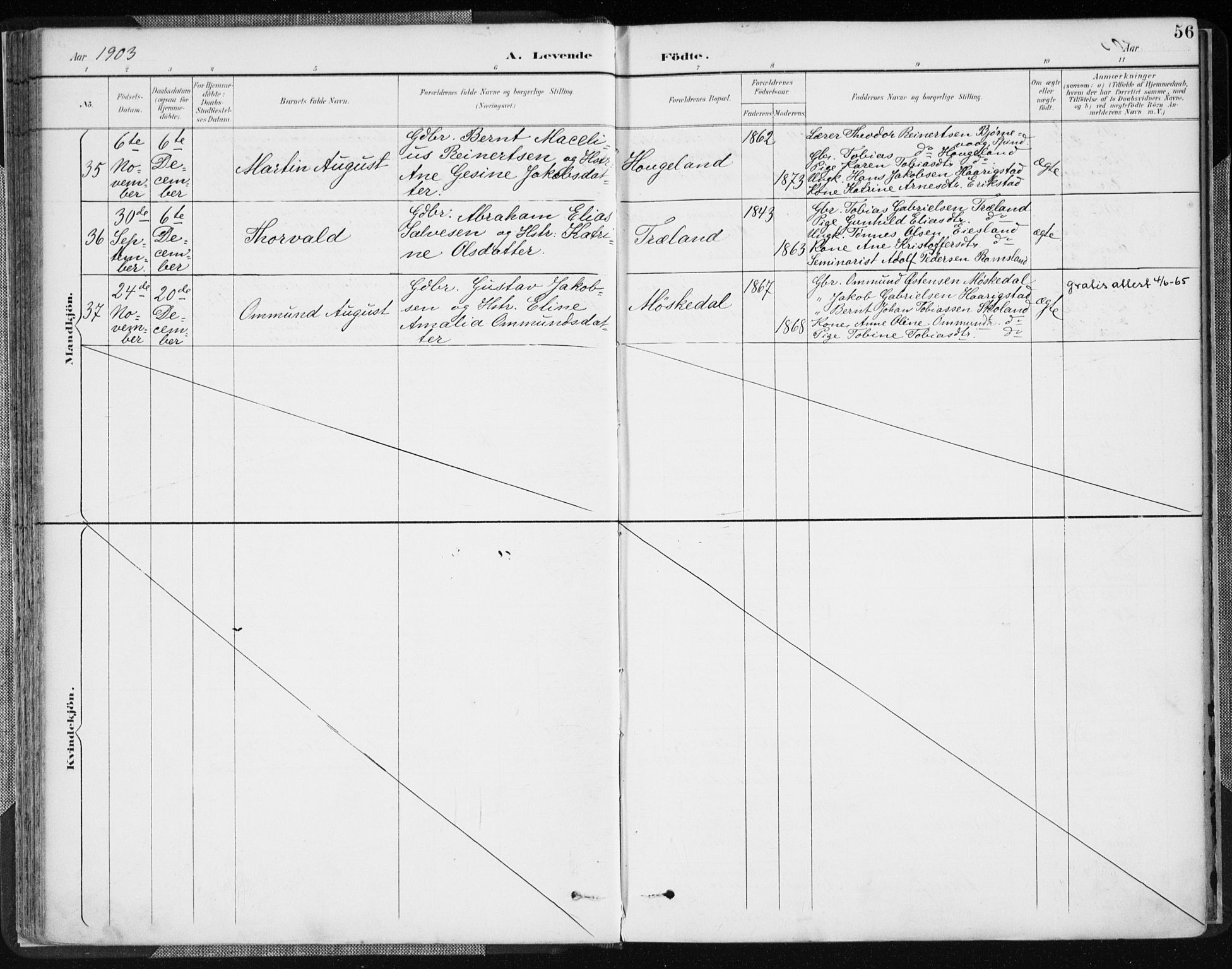 Lyngdal sokneprestkontor, AV/SAK-1111-0029/F/Fa/Fac/L0012: Ministerialbok nr. A 12, 1894-1918, s. 56