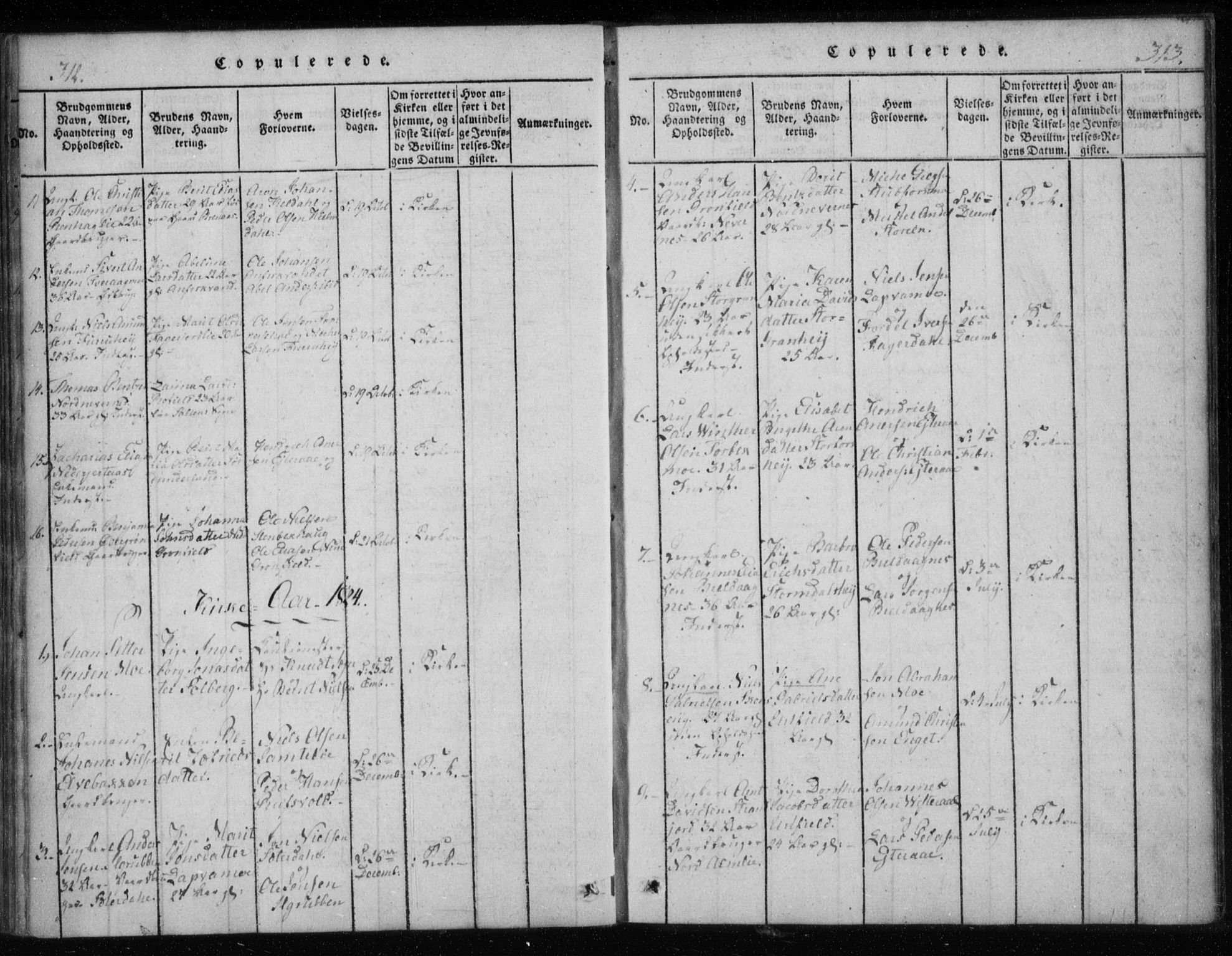 Ministerialprotokoller, klokkerbøker og fødselsregistre - Nordland, AV/SAT-A-1459/825/L0353: Ministerialbok nr. 825A07, 1820-1826, s. 312-313