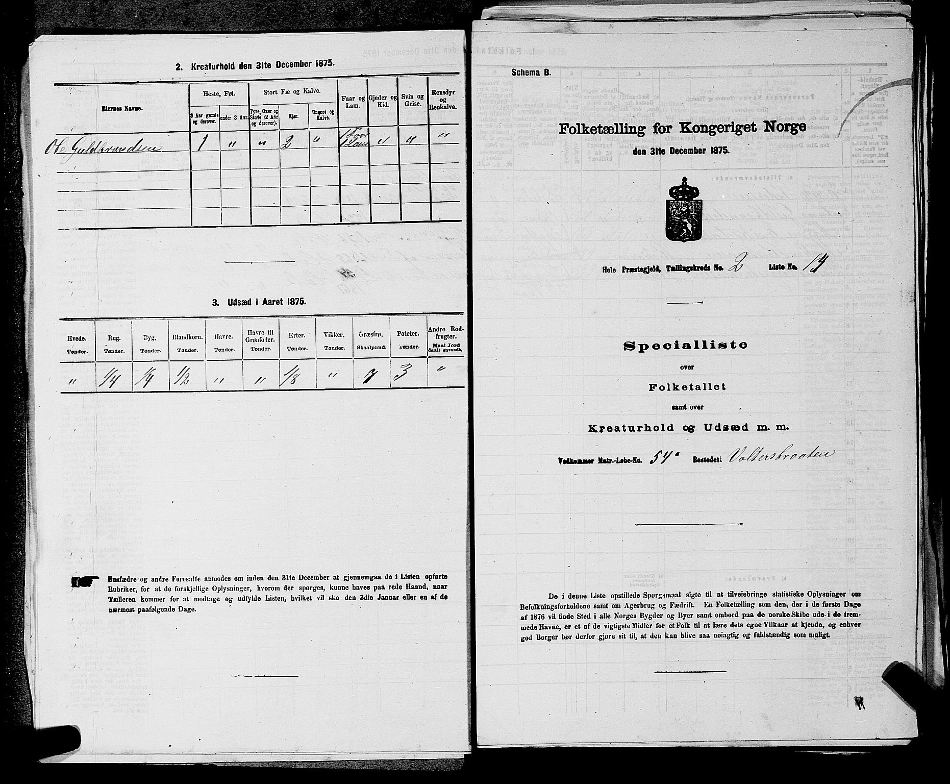 SAKO, Folketelling 1875 for 0612P Hole prestegjeld, 1875, s. 284