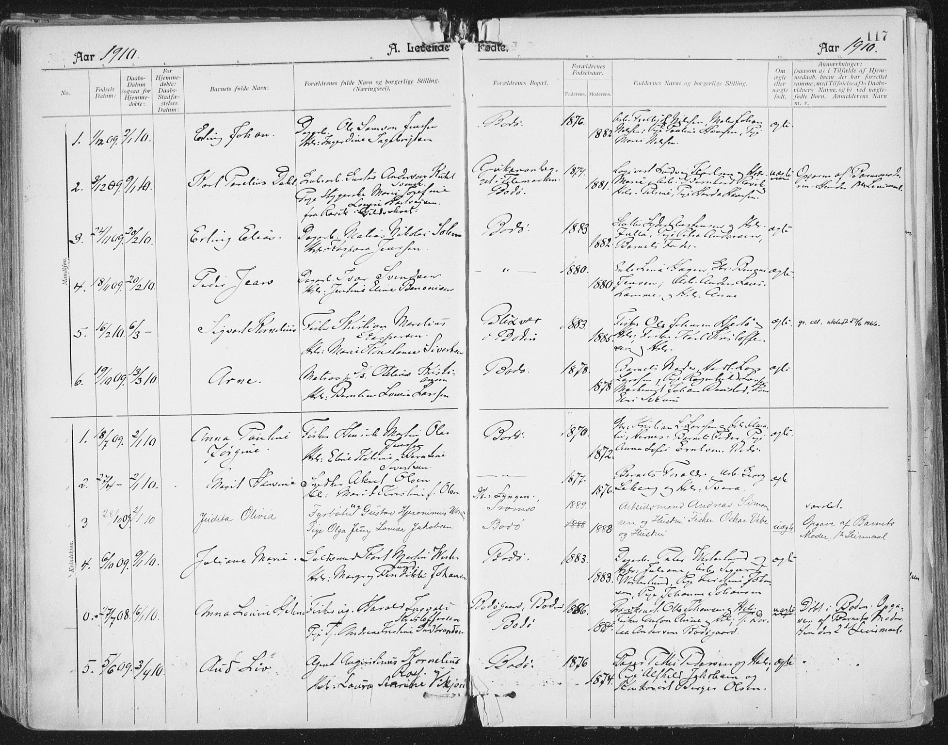 Ministerialprotokoller, klokkerbøker og fødselsregistre - Nordland, AV/SAT-A-1459/801/L0011: Ministerialbok nr. 801A11, 1900-1916, s. 117