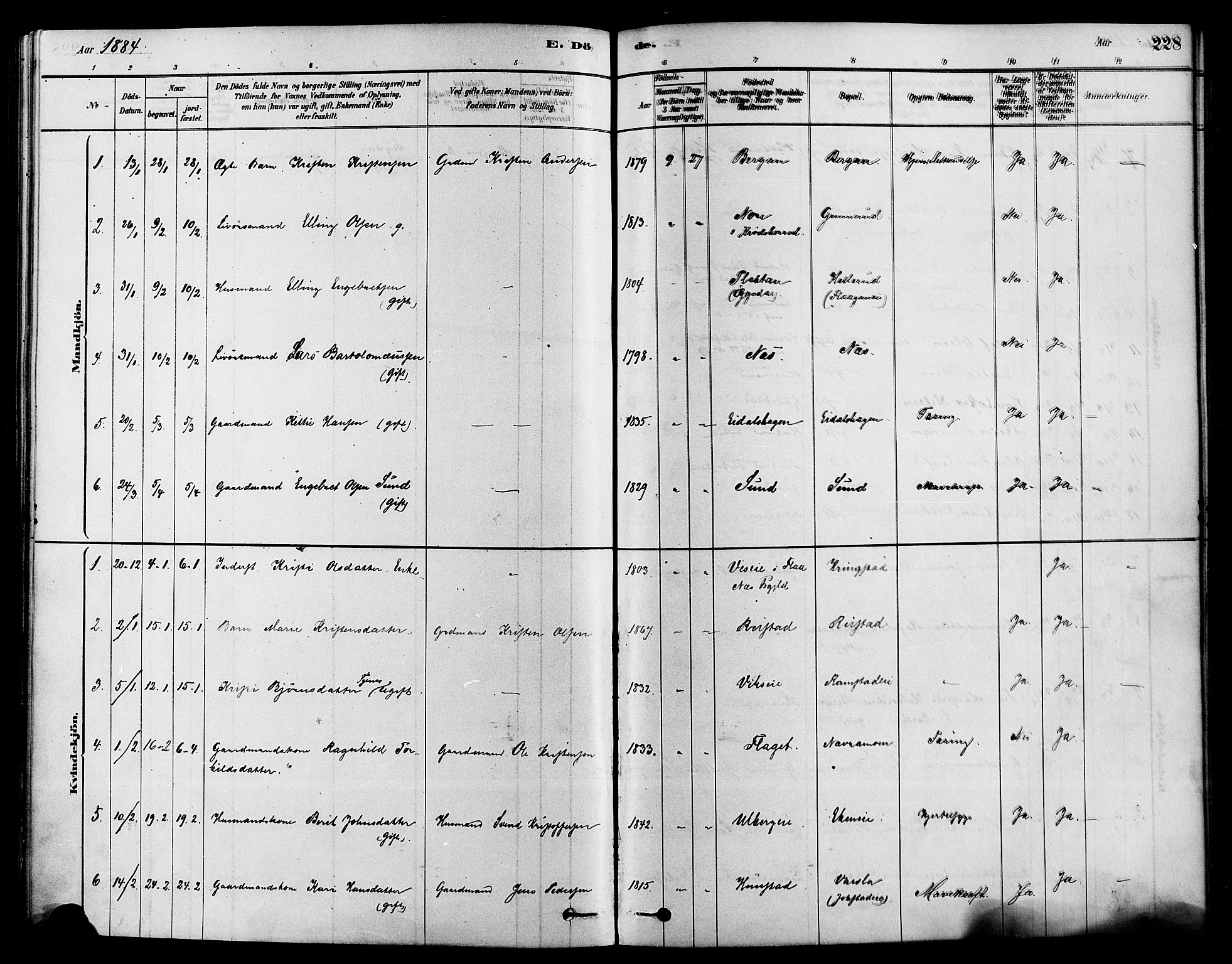 Sigdal kirkebøker, SAKO/A-245/F/Fa/L0011: Ministerialbok nr. I 11, 1879-1887, s. 228