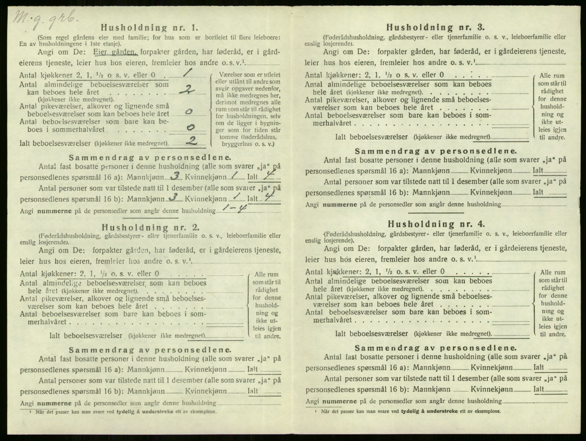 SAKO, Folketelling 1920 for 0612 Hole herred, 1920, s. 595