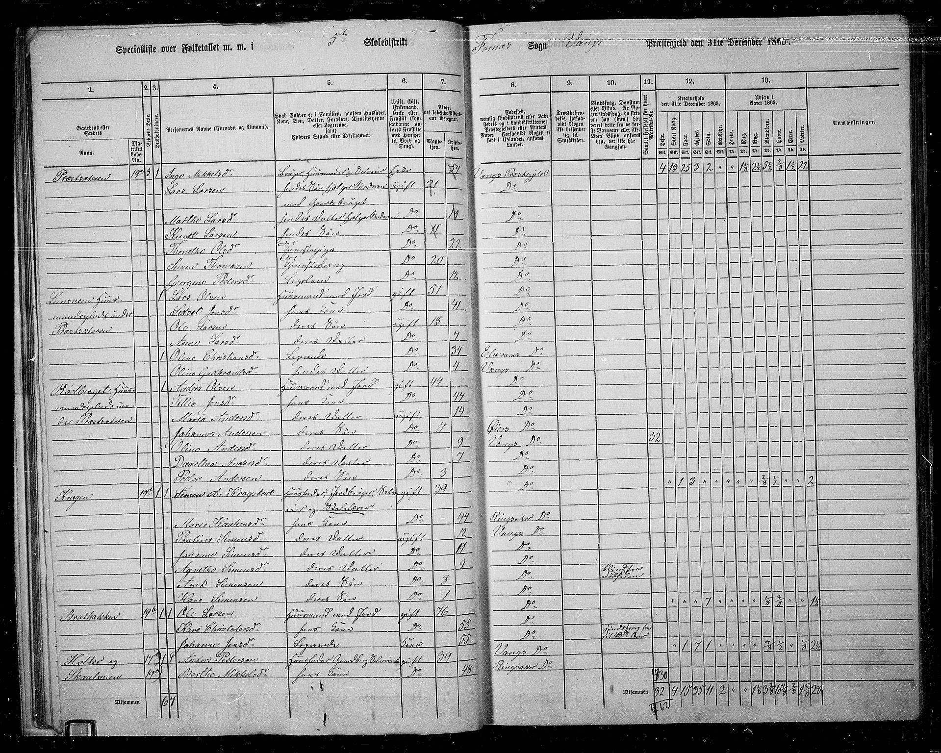 RA, Folketelling 1865 for 0414L Vang prestegjeld, Vang sokn og Furnes sokn, 1865, s. 30