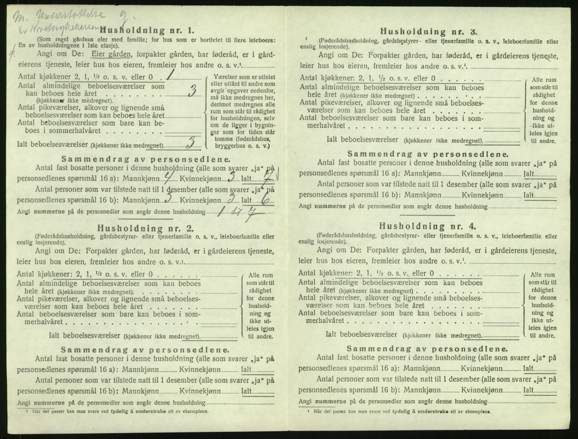 SAH, Folketelling 1920 for 0411 Nes herred, 1920, s. 40