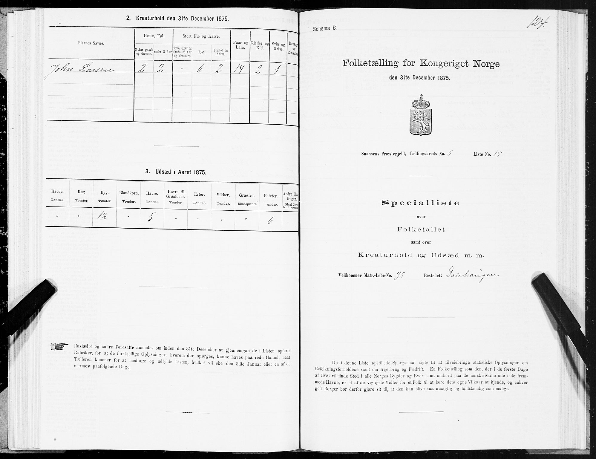 SAT, Folketelling 1875 for 1736P Snåsa prestegjeld, 1875, s. 2124