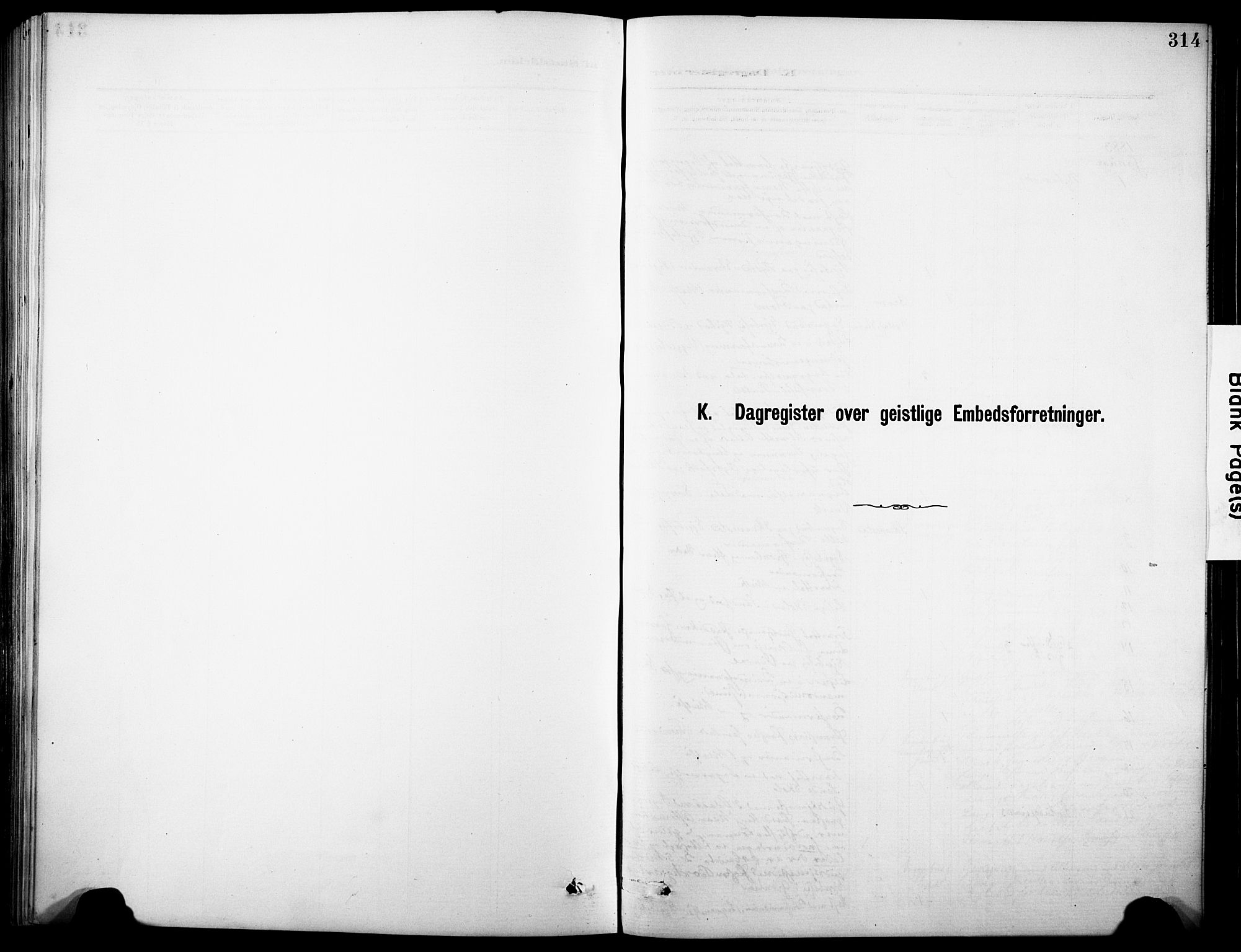 Sandar kirkebøker, SAKO/A-243/F/Fa/L0013: Ministerialbok nr. 13, 1883-1895, s. 314