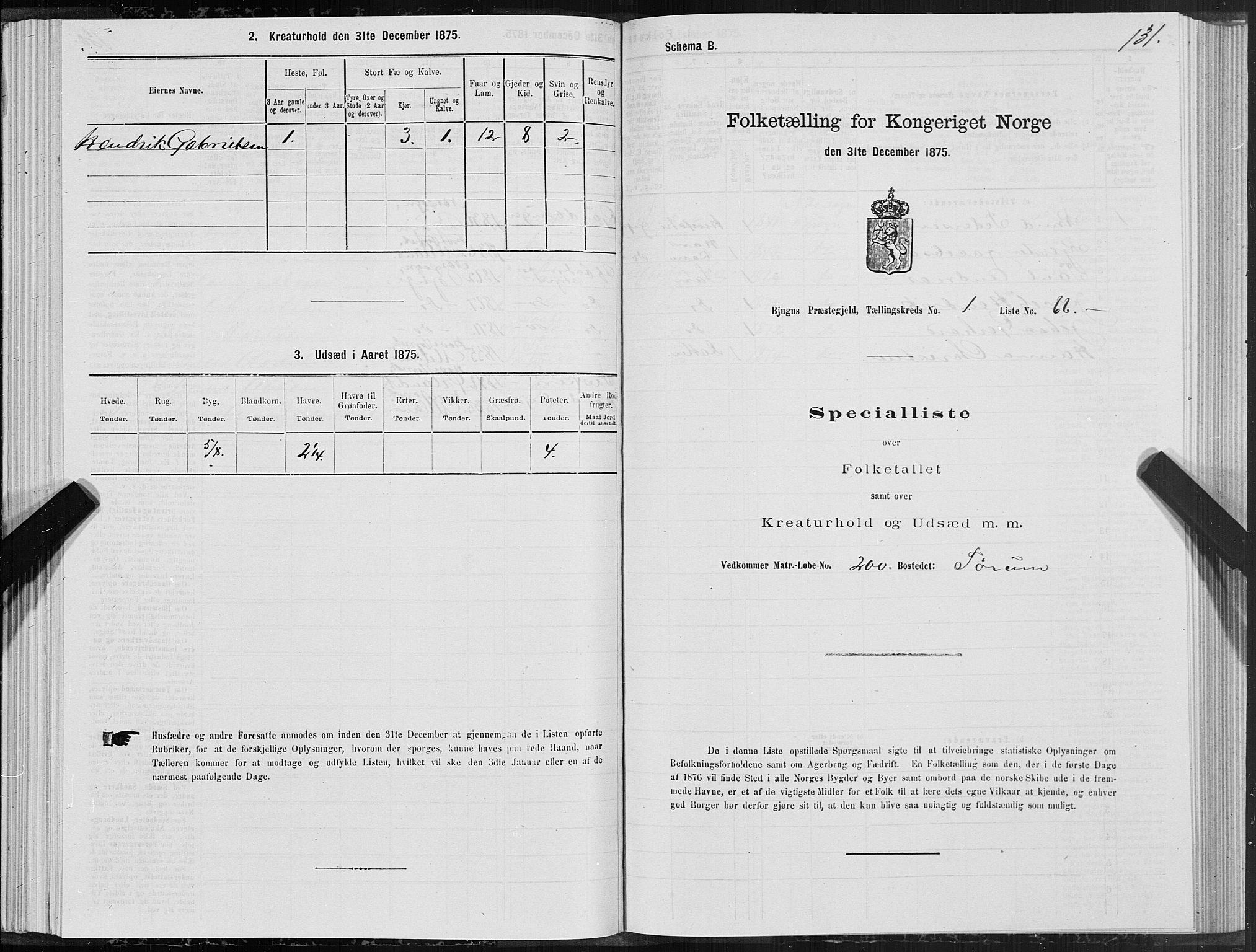 SAT, Folketelling 1875 for 1627P Bjugn prestegjeld, 1875, s. 1131