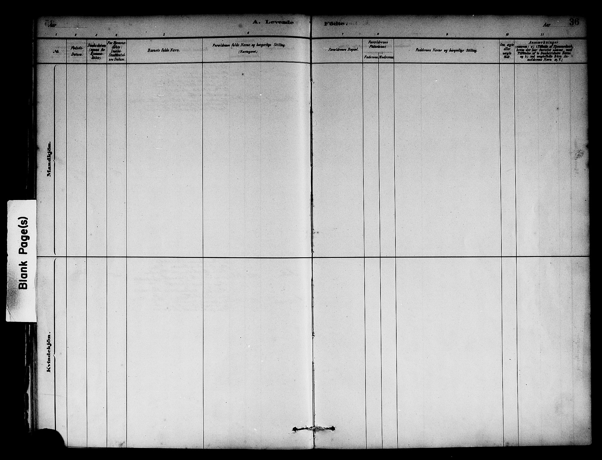 Solund sokneprestembete, SAB/A-81401: Ministerialbok nr. A 1, 1881-1902, s. 36