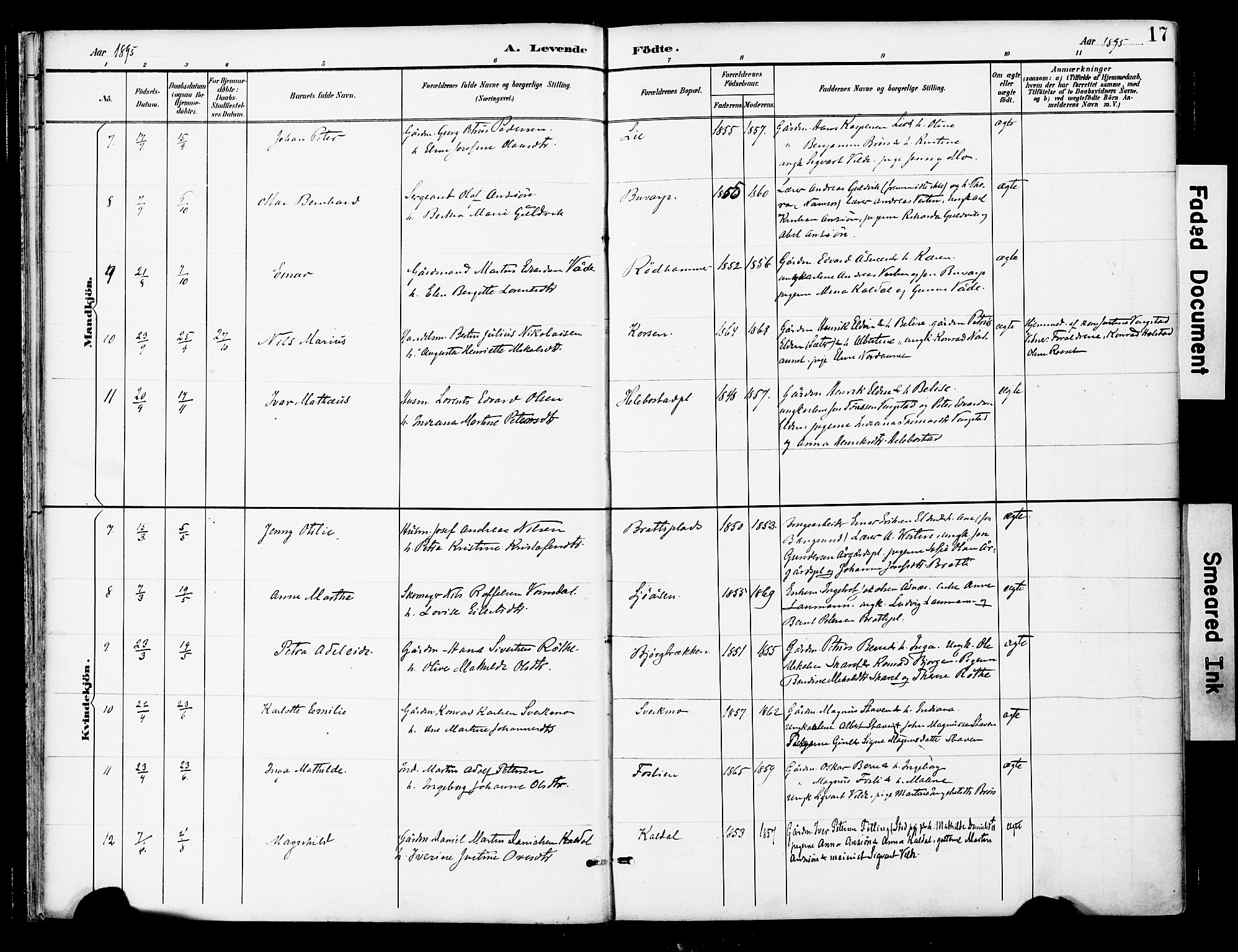 Ministerialprotokoller, klokkerbøker og fødselsregistre - Nord-Trøndelag, AV/SAT-A-1458/742/L0409: Ministerialbok nr. 742A02, 1891-1905, s. 17