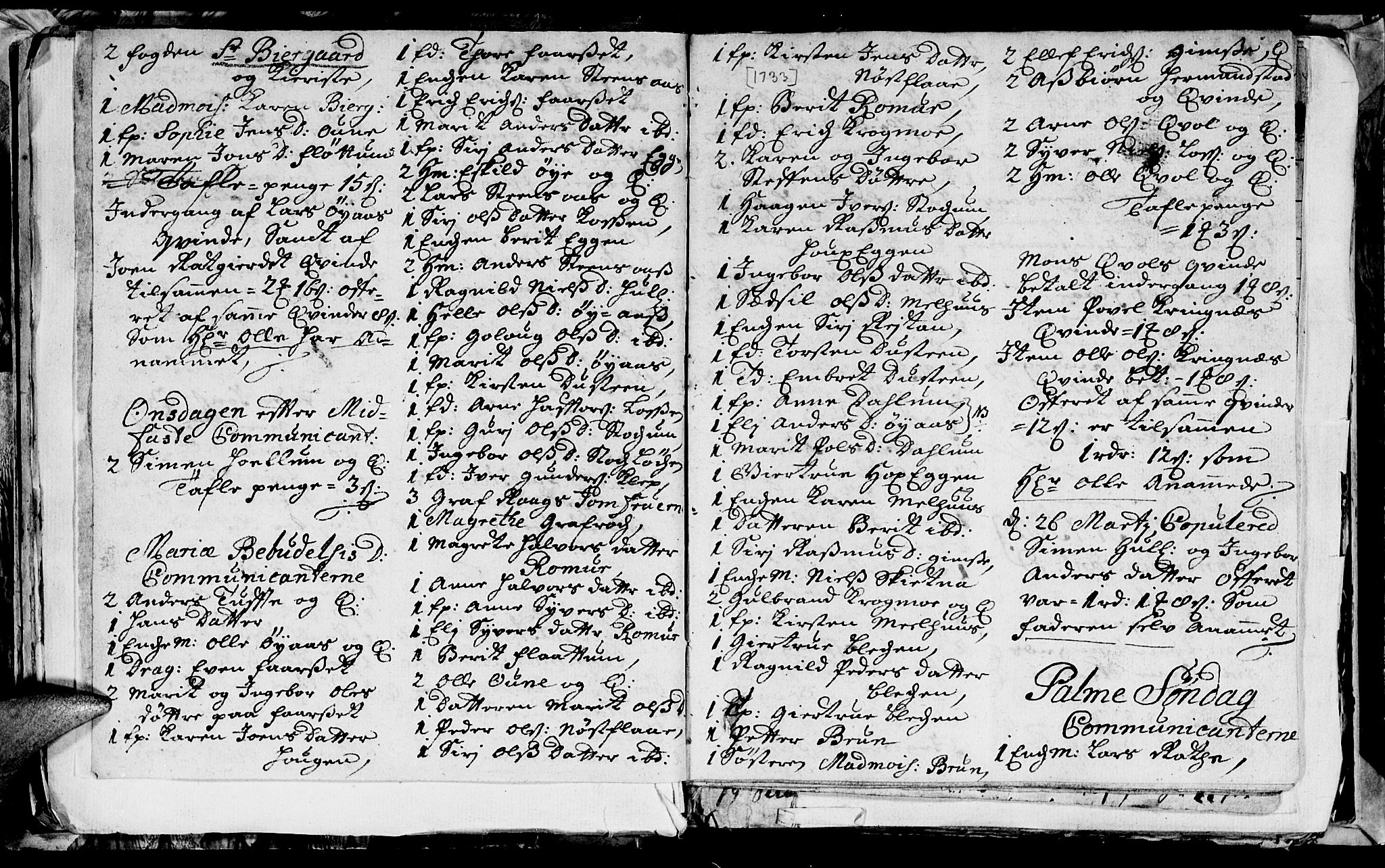 Ministerialprotokoller, klokkerbøker og fødselsregistre - Sør-Trøndelag, AV/SAT-A-1456/691/L1090: Klokkerbok nr. 691C01, 1732-1742