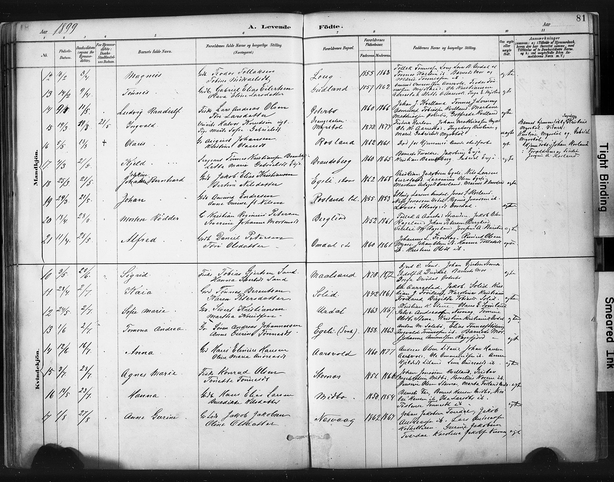 Sokndal sokneprestkontor, AV/SAST-A-101808: Ministerialbok nr. A 11.1, 1887-1905, s. 81
