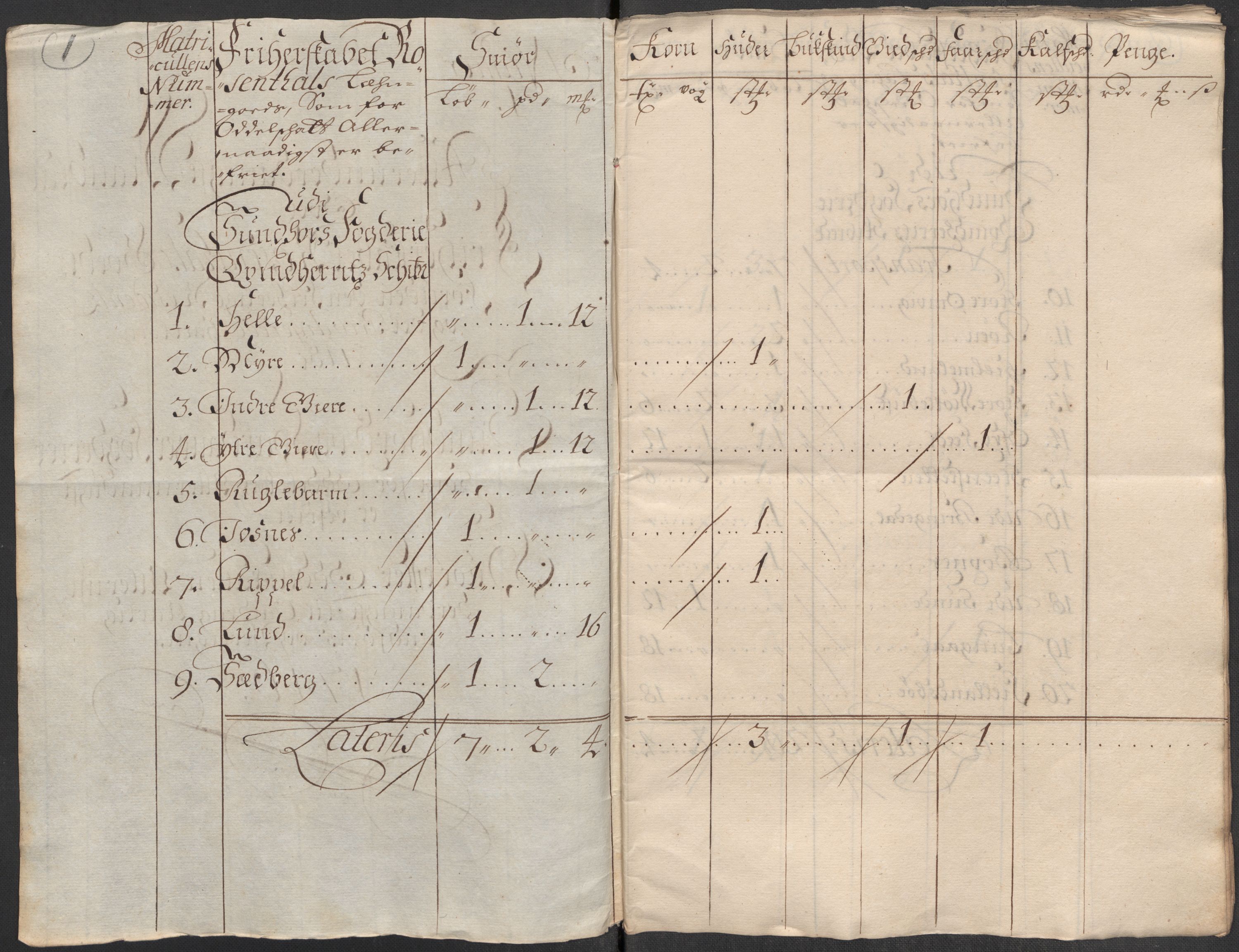 Rentekammeret inntil 1814, Reviderte regnskaper, Fogderegnskap, AV/RA-EA-4092/R49/L3139: Fogderegnskap Rosendal Baroni, 1715-1717, s. 146