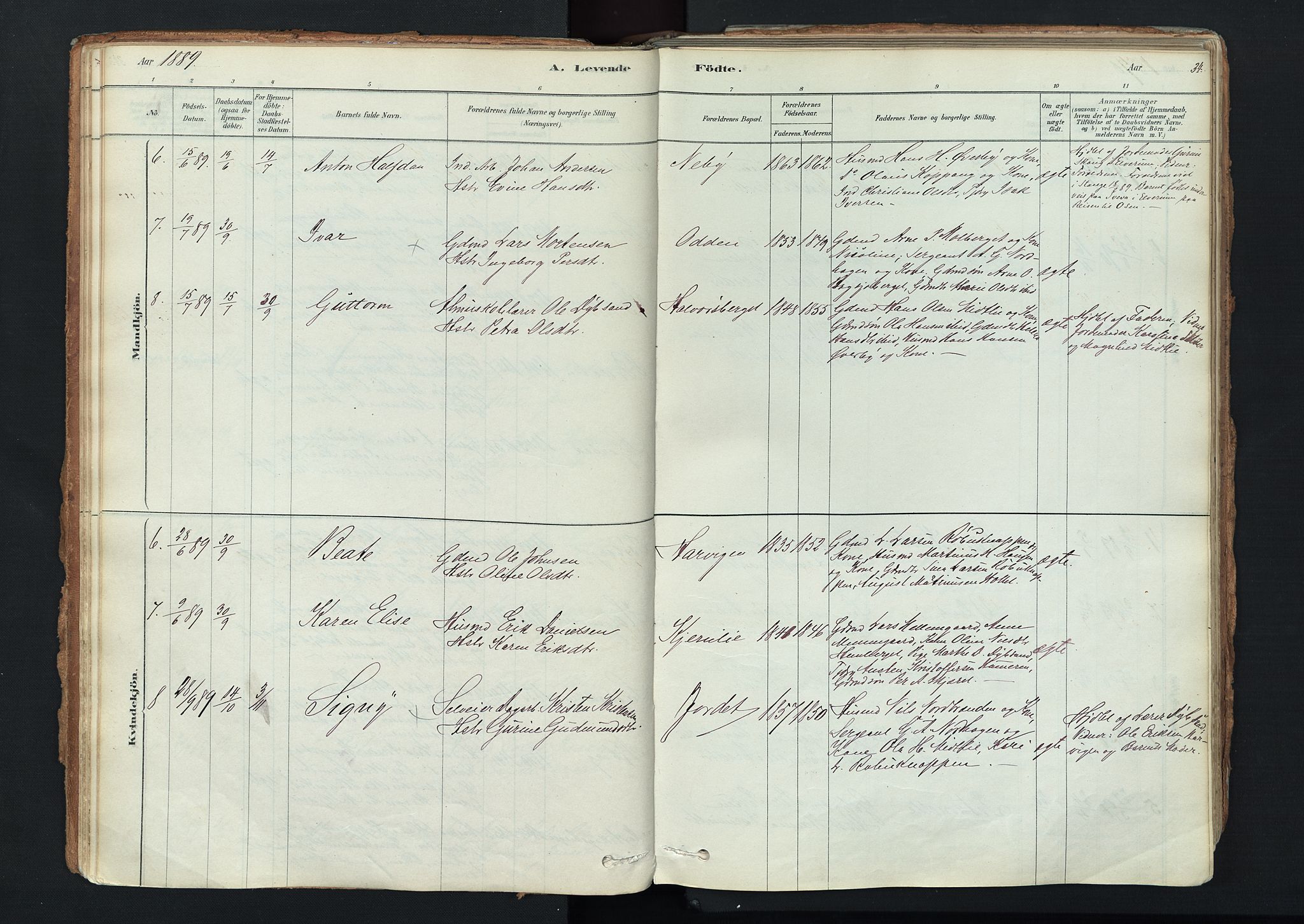 Trysil prestekontor, AV/SAH-PREST-046/H/Ha/Haa/L0011: Ministerialbok nr. 11, 1878-1912, s. 34