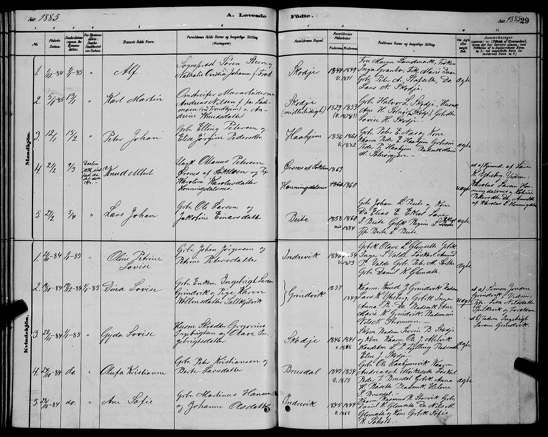 Ministerialprotokoller, klokkerbøker og fødselsregistre - Møre og Romsdal, SAT/A-1454/524/L0365: Klokkerbok nr. 524C06, 1880-1899, s. 29