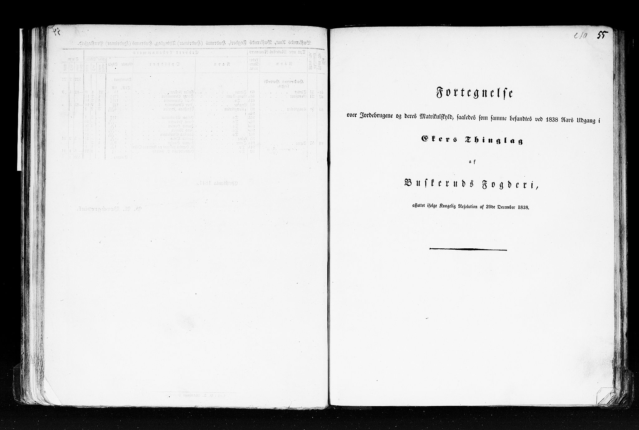 Rygh, RA/PA-0034/F/Fb/L0005: Matrikkelen for 1838 - Buskerud amt (Buskerud fylke), 1838, s. 55a