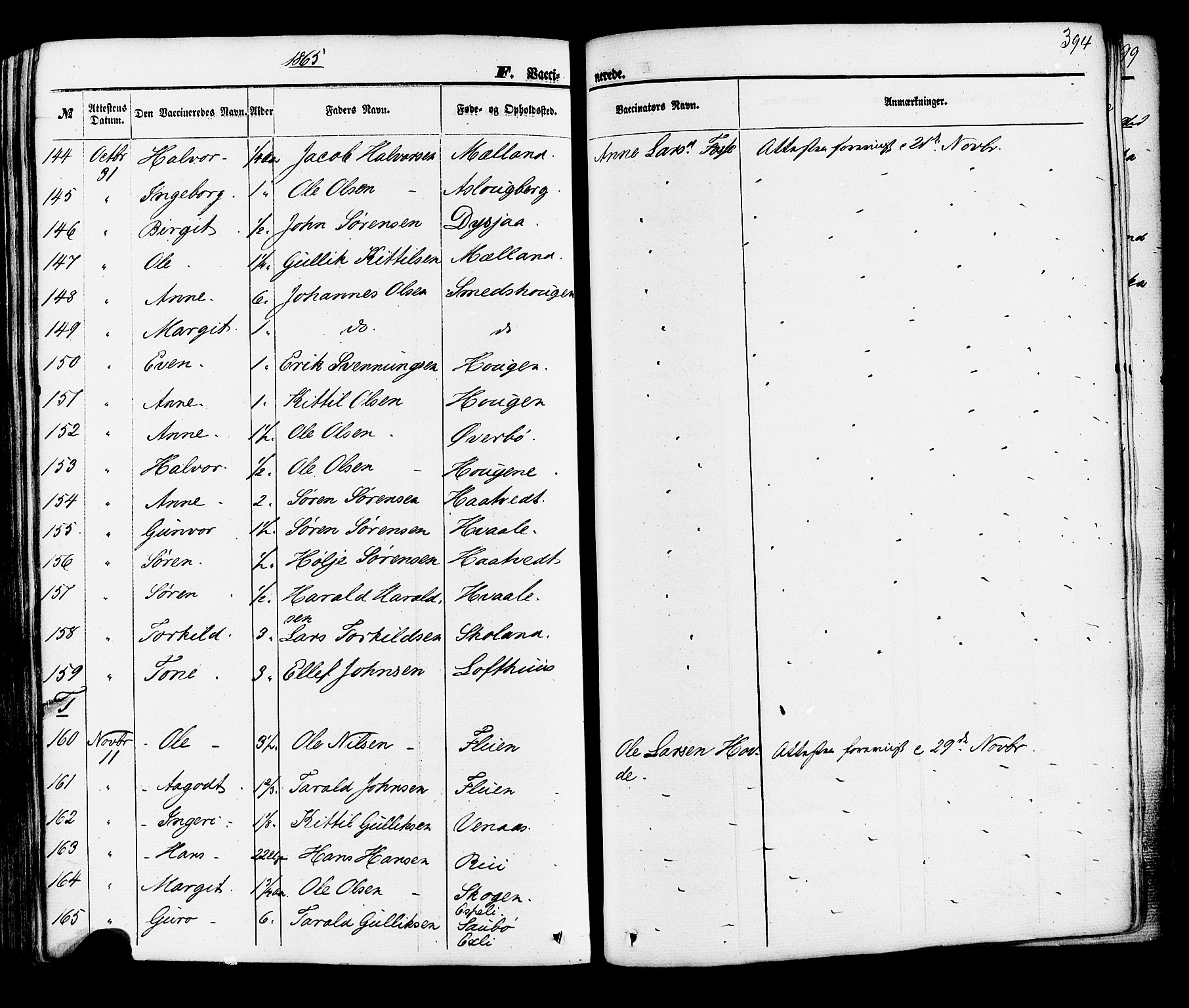 Hjartdal kirkebøker, AV/SAKO-A-270/F/Fa/L0009: Ministerialbok nr. I 9, 1860-1879, s. 394