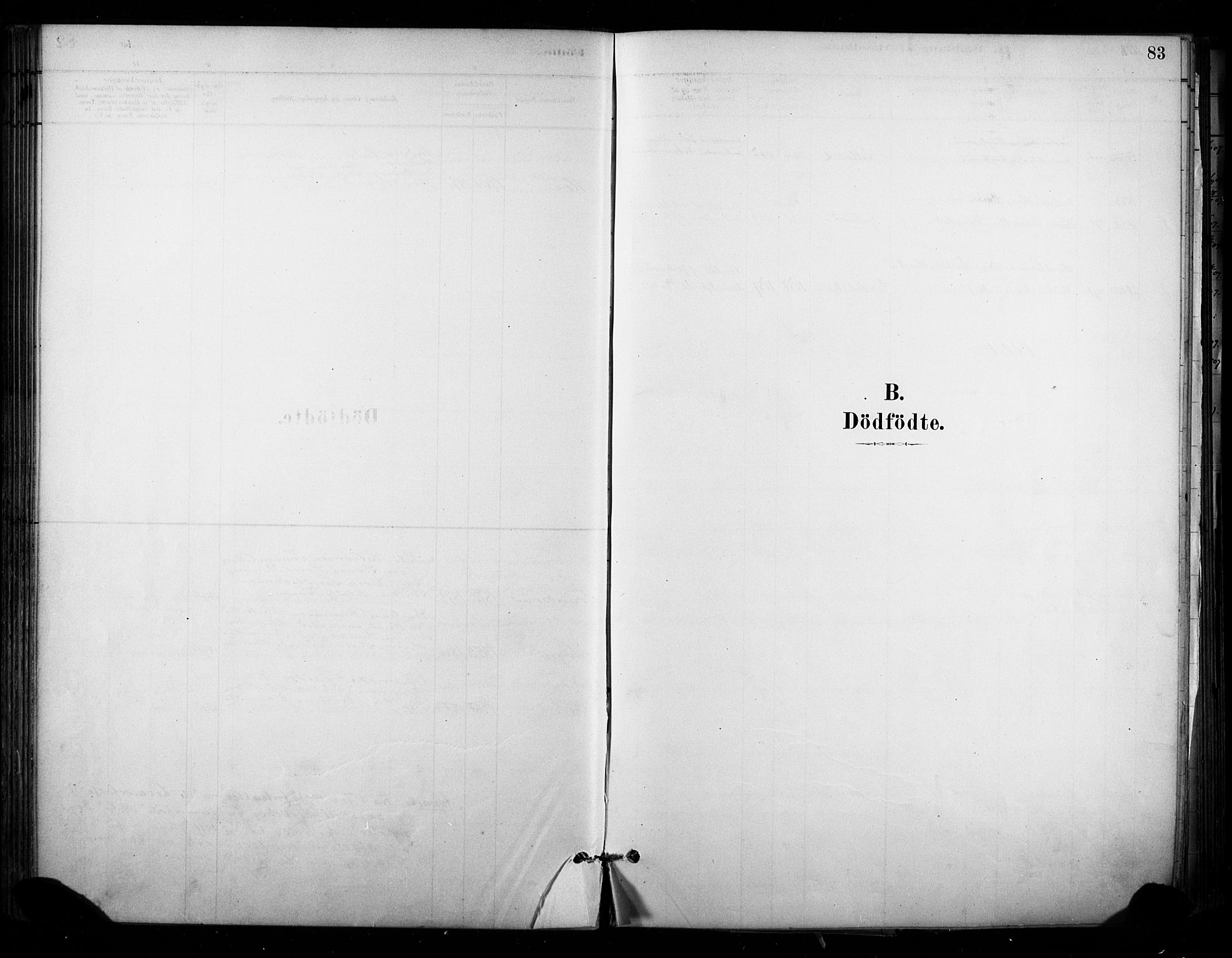 Lardal kirkebøker, SAKO/A-350/F/Fb/L0001: Ministerialbok nr. II 1, 1881-1911, s. 83
