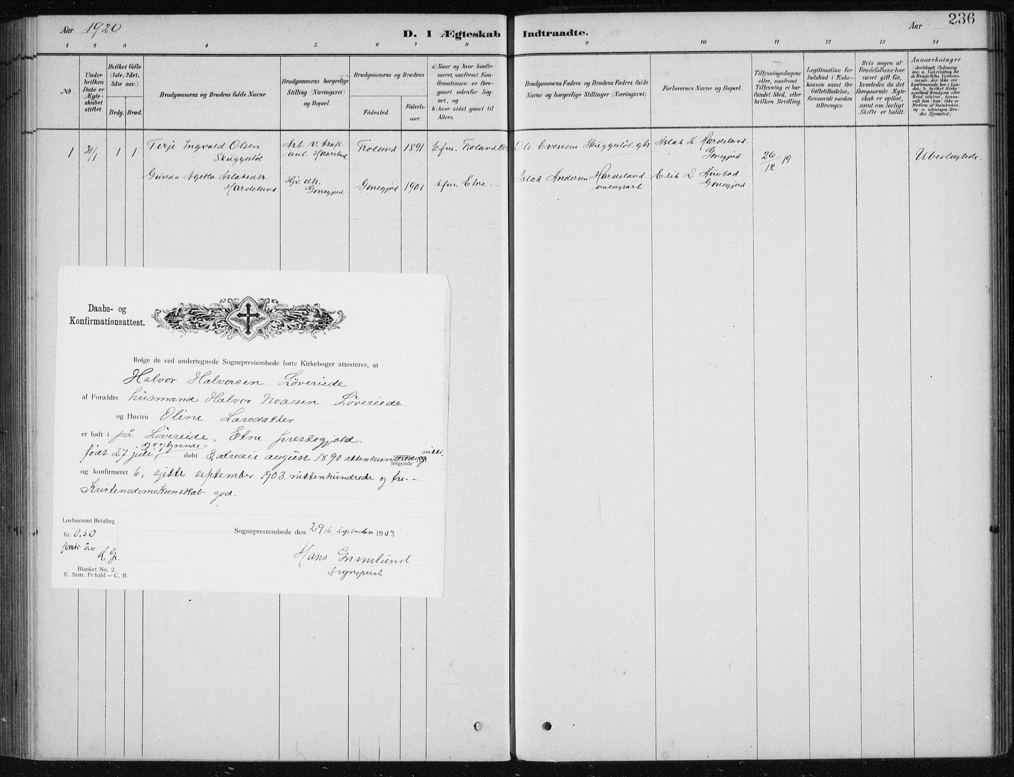 Etne sokneprestembete, SAB/A-75001/H/Haa: Ministerialbok nr. D  1, 1879-1919, s. 236