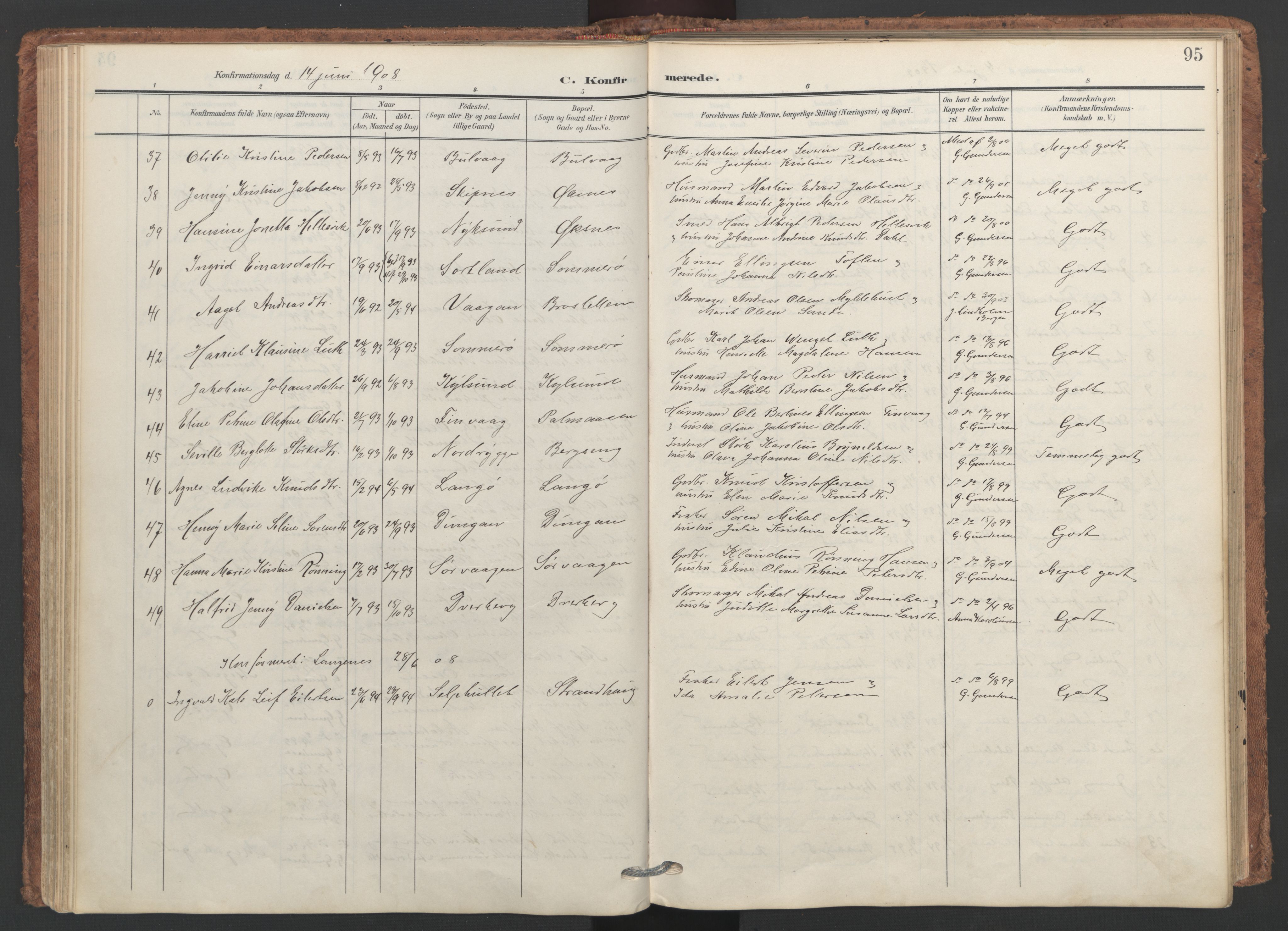 Ministerialprotokoller, klokkerbøker og fødselsregistre - Nordland, AV/SAT-A-1459/893/L1339: Ministerialbok nr. 893A11, 1904-1914, s. 95