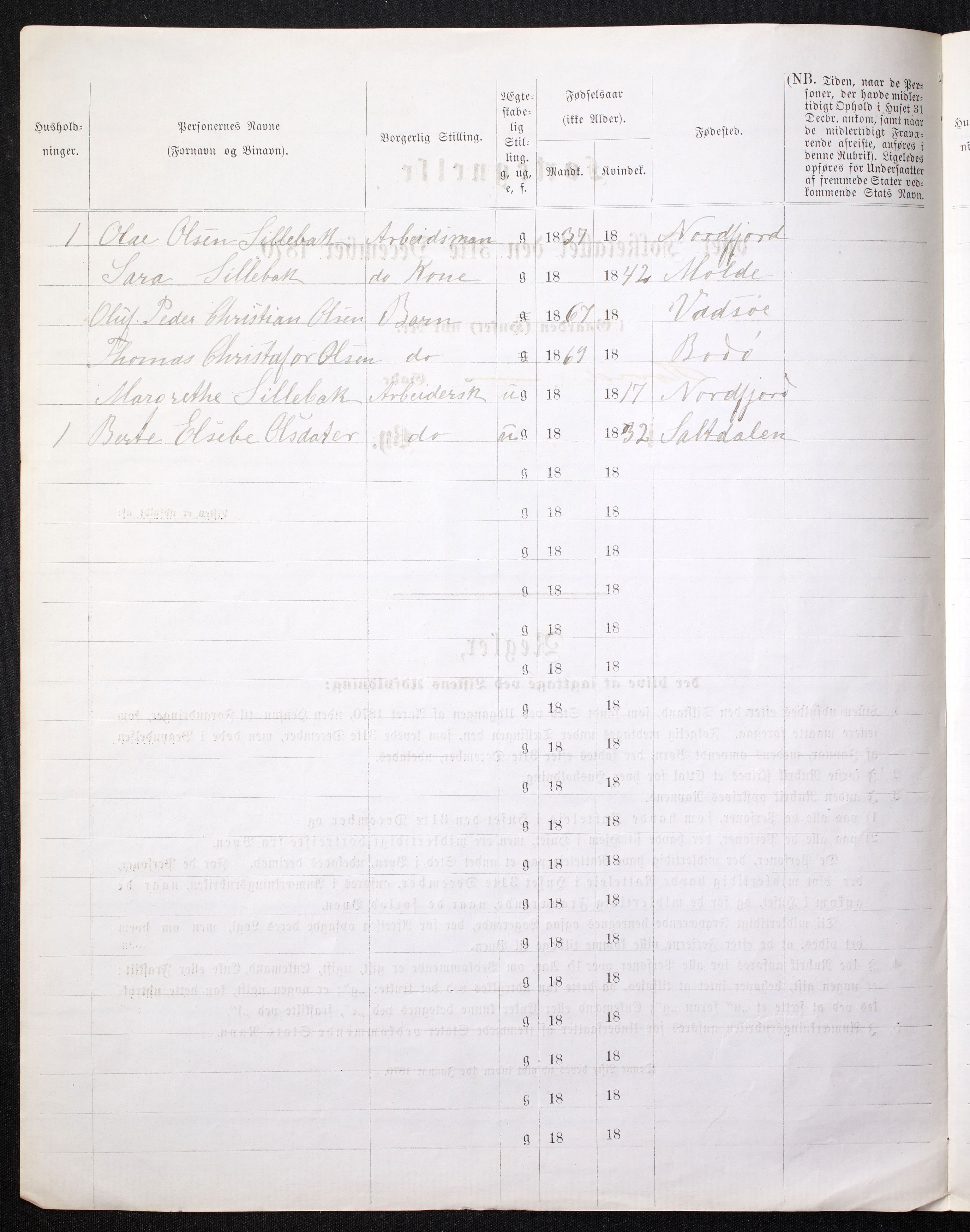 RA, Folketelling 1870 for 1804 Bodø kjøpstad, 1870, s. 22