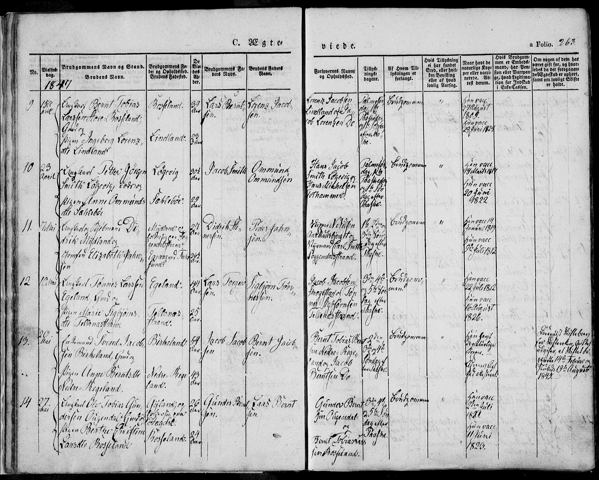 Sokndal sokneprestkontor, AV/SAST-A-101808: Ministerialbok nr. A 8.2, 1842-1857, s. 263