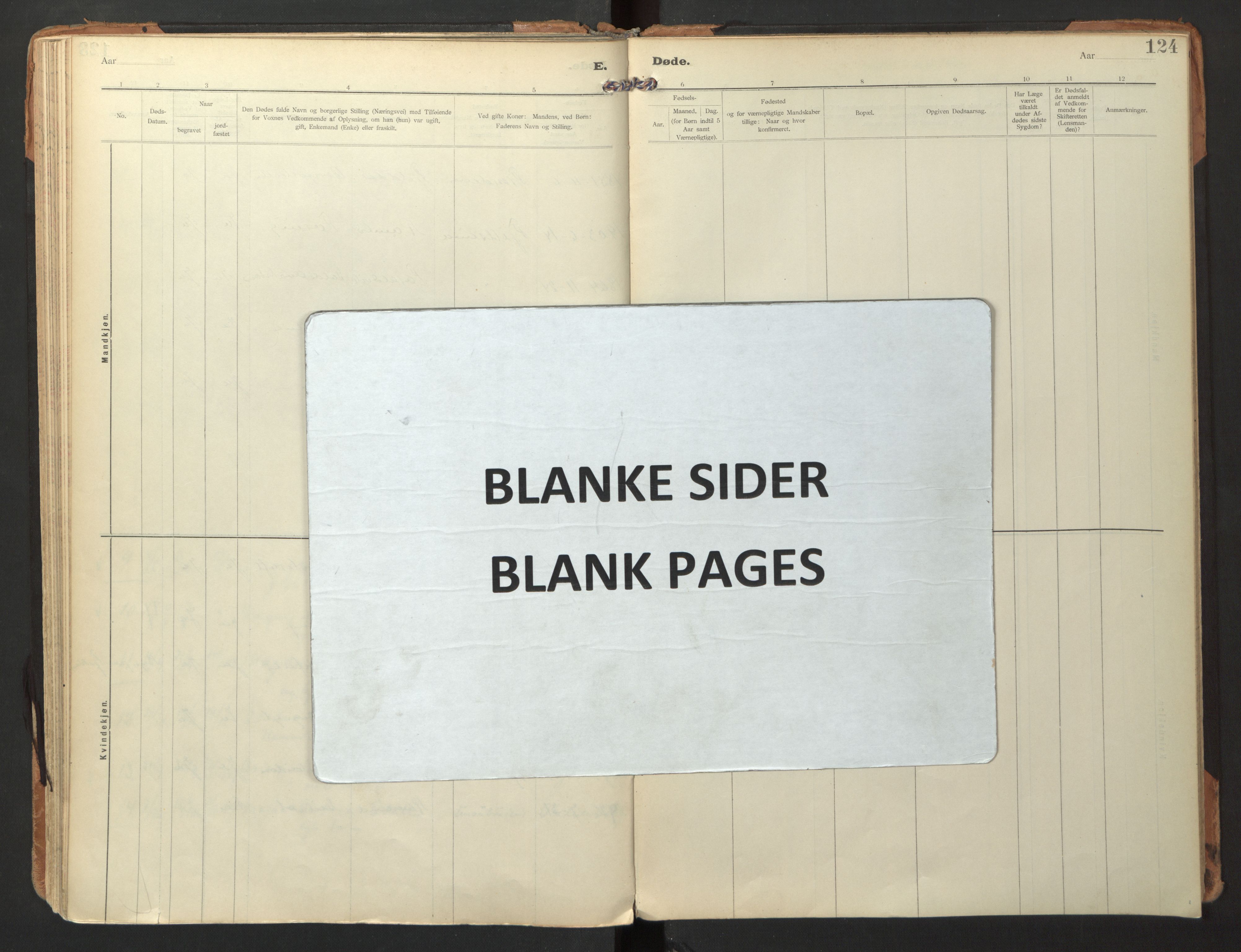 Ministerialprotokoller, klokkerbøker og fødselsregistre - Nordland, AV/SAT-A-1459/865/L0928: Ministerialbok nr. 865A06, 1913-1926, s. 124