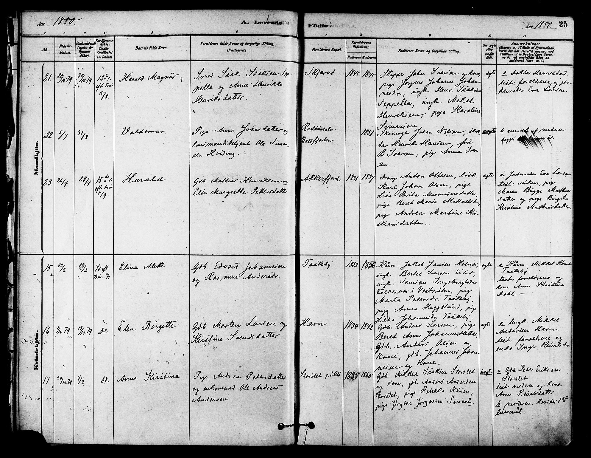 Skjervøy sokneprestkontor, AV/SATØ-S-1300/H/Ha/Haa/L0009kirke: Ministerialbok nr. 9, 1878-1887, s. 25