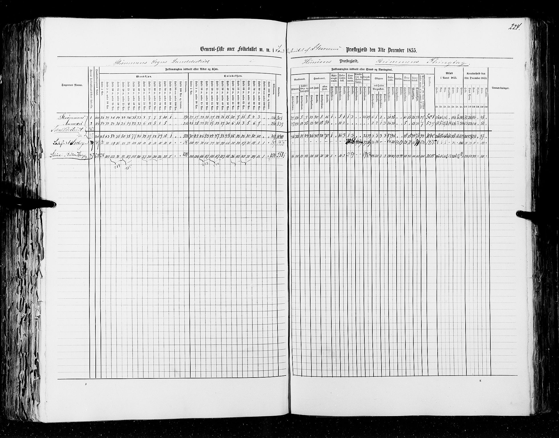 RA, Folketellingen 1855, bind 2: Kristians amt, Buskerud amt og Jarlsberg og Larvik amt, 1855, s. 224