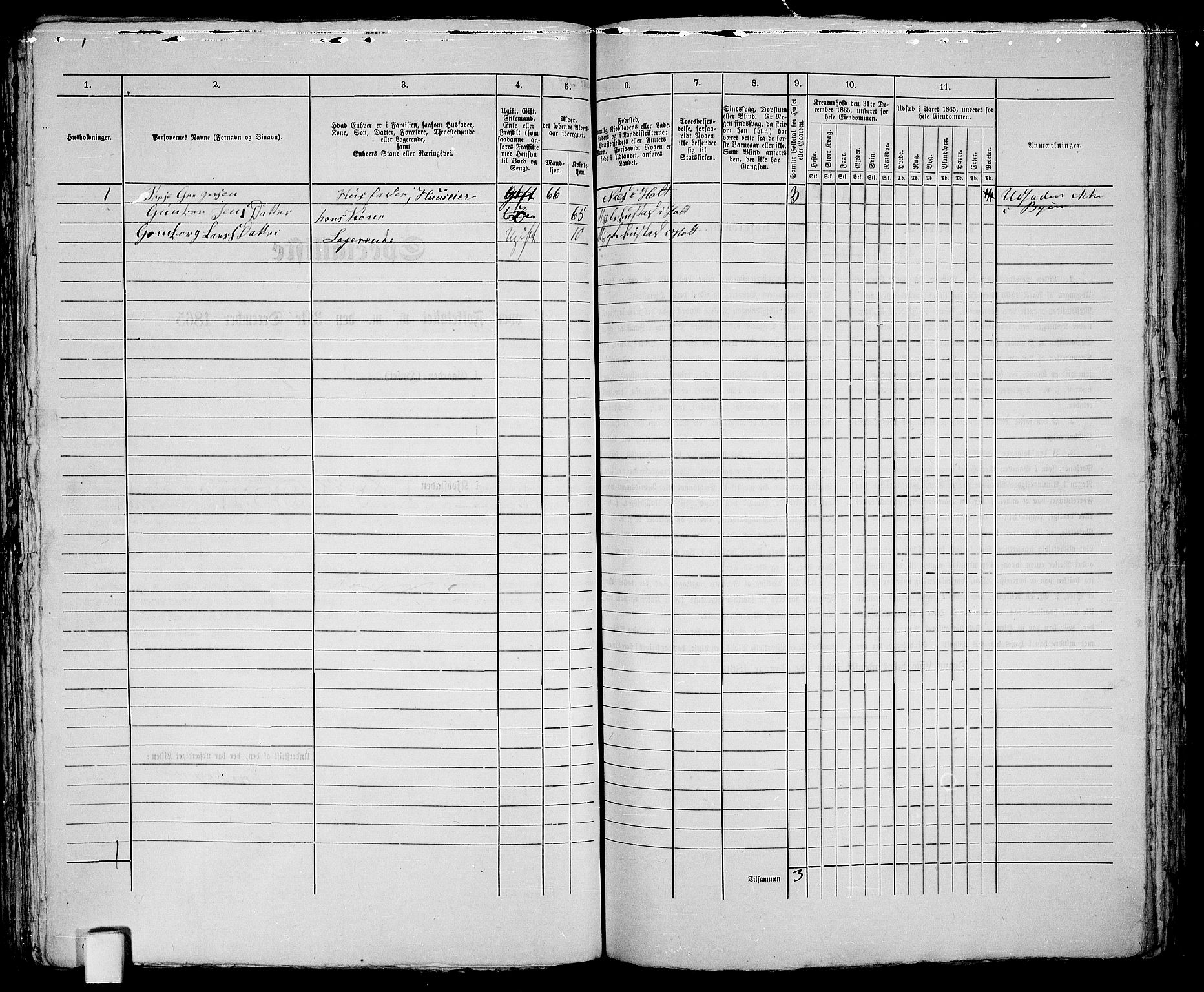 RA, Folketelling 1865 for 0902B Holt prestegjeld, Tvedestrand ladested, 1865, s. 261