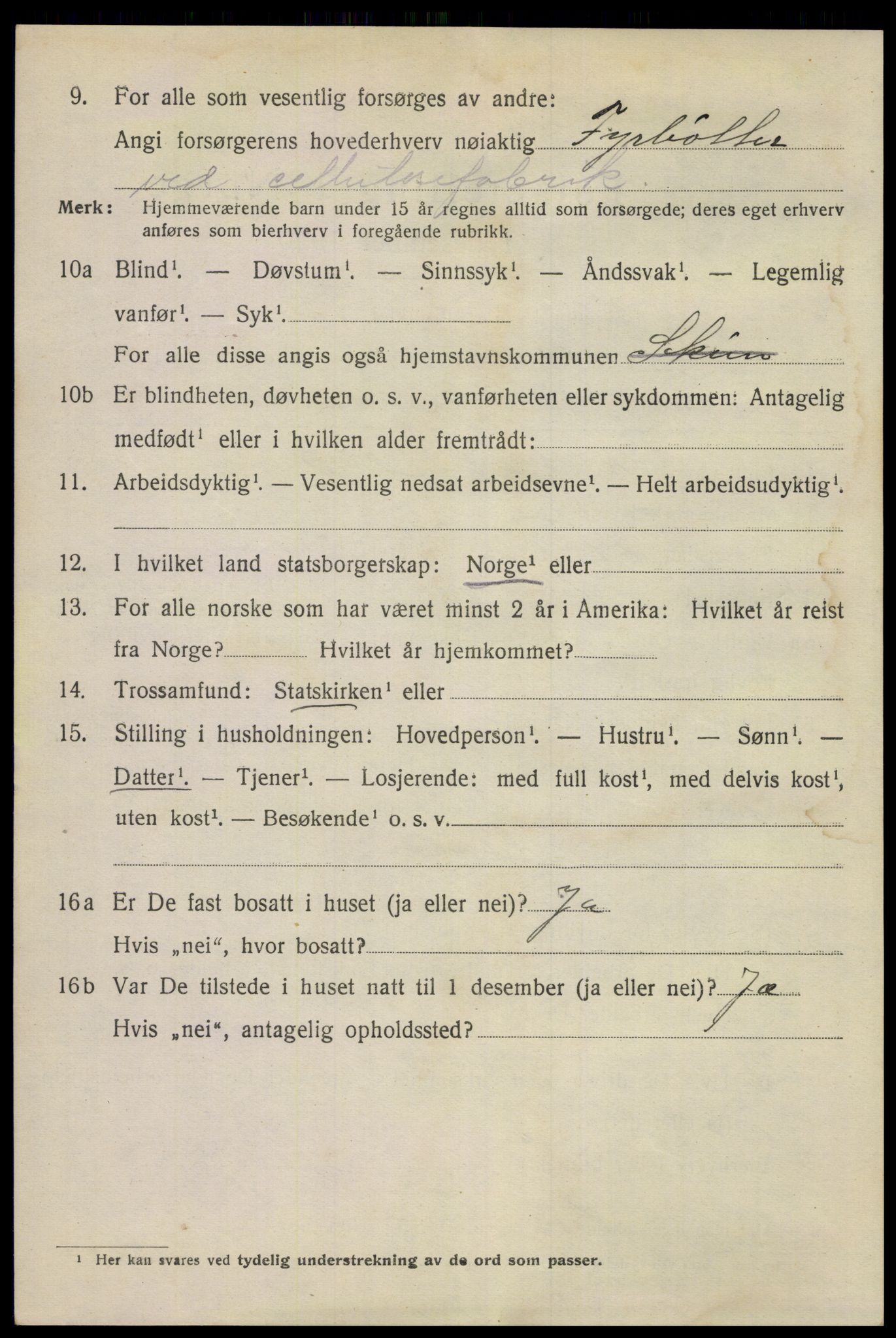 SAKO, Folketelling 1920 for 0806 Skien kjøpstad, 1920, s. 21799