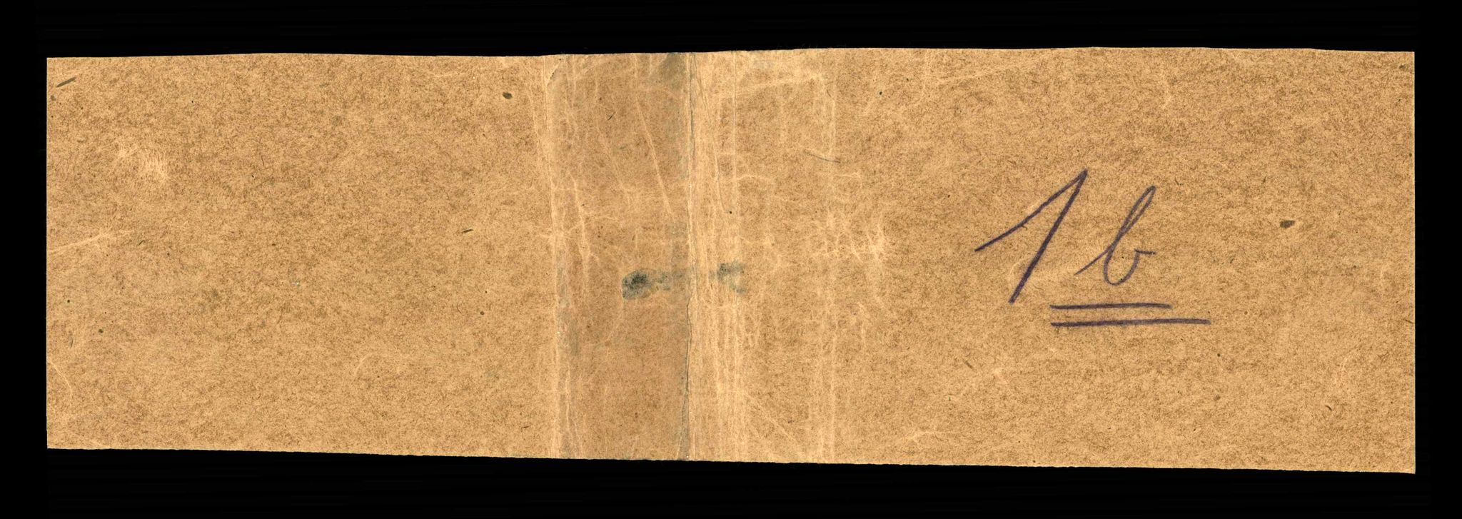 RA, Folketelling 1910 for 0515 Vågå herred, 1910, s. 229