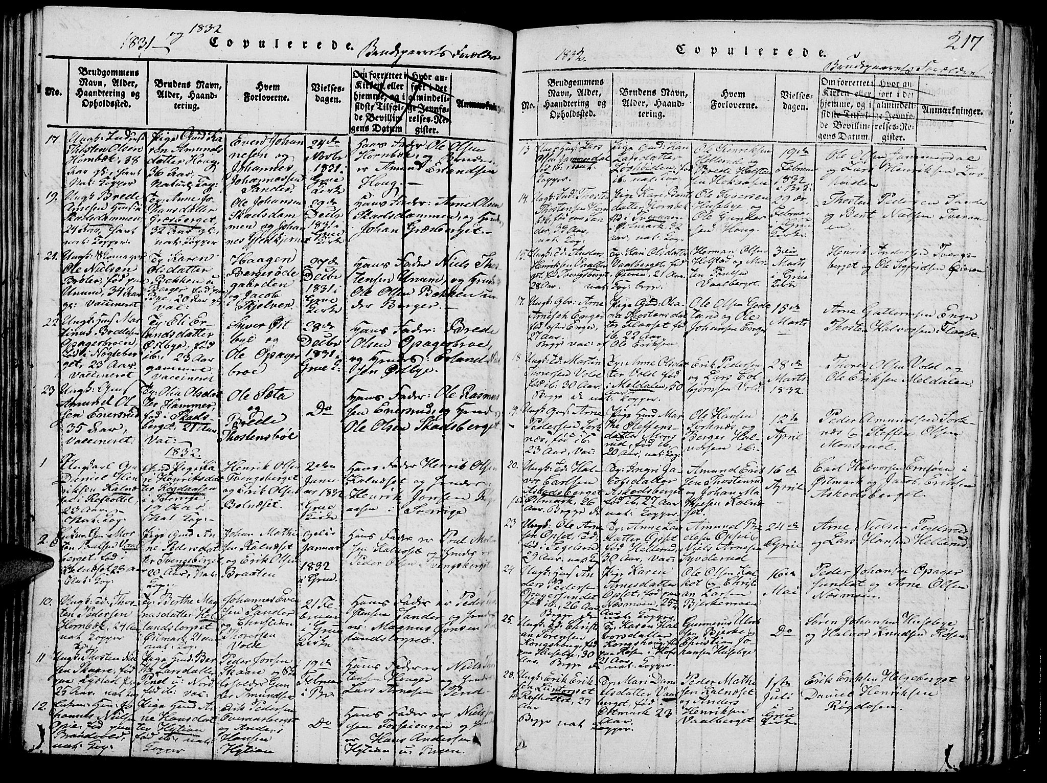 Grue prestekontor, AV/SAH-PREST-036/H/Ha/Hab/L0002: Klokkerbok nr. 2, 1815-1841, s. 217