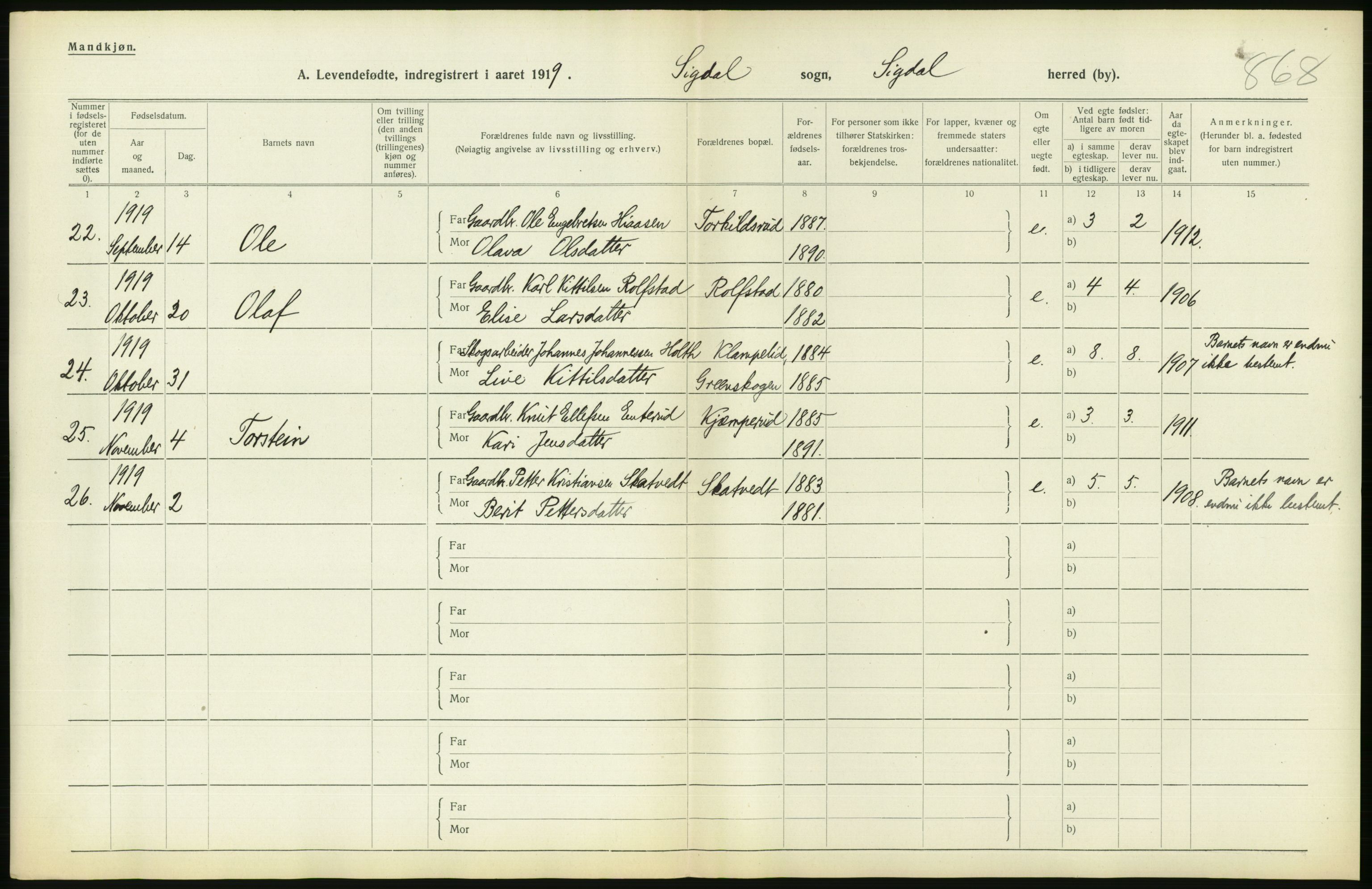 Statistisk sentralbyrå, Sosiodemografiske emner, Befolkning, RA/S-2228/D/Df/Dfb/Dfbi/L0016: Buskerud fylke: Levendefødte menn og kvinner. Bygder., 1919, s. 456