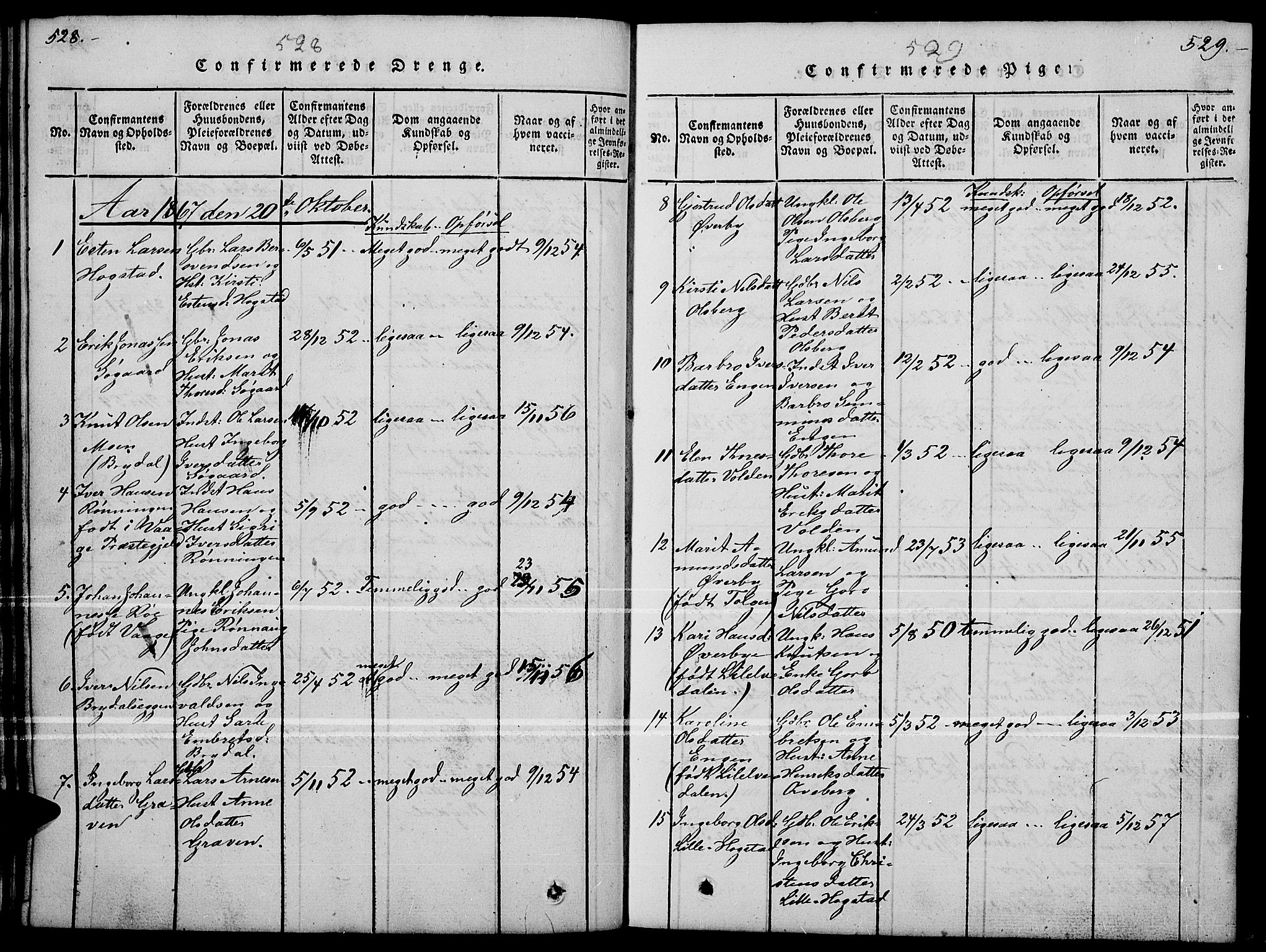 Tynset prestekontor, AV/SAH-PREST-058/H/Ha/Hab/L0004: Klokkerbok nr. 4, 1814-1879, s. 528-529